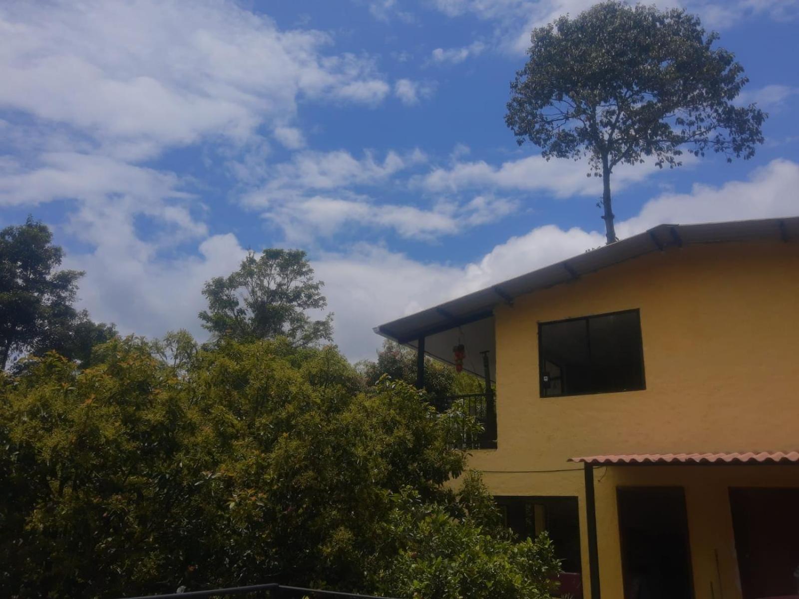 Finca Hostel El Regalo
