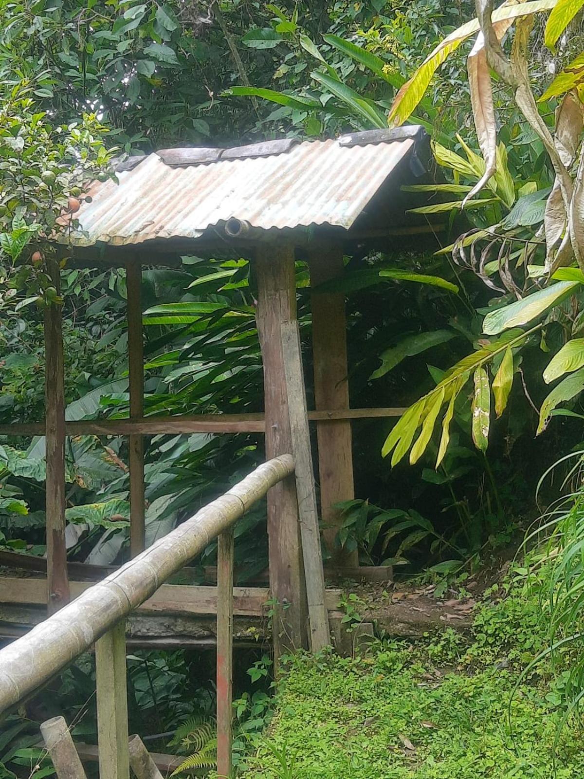 Finca Hostel El Regalo