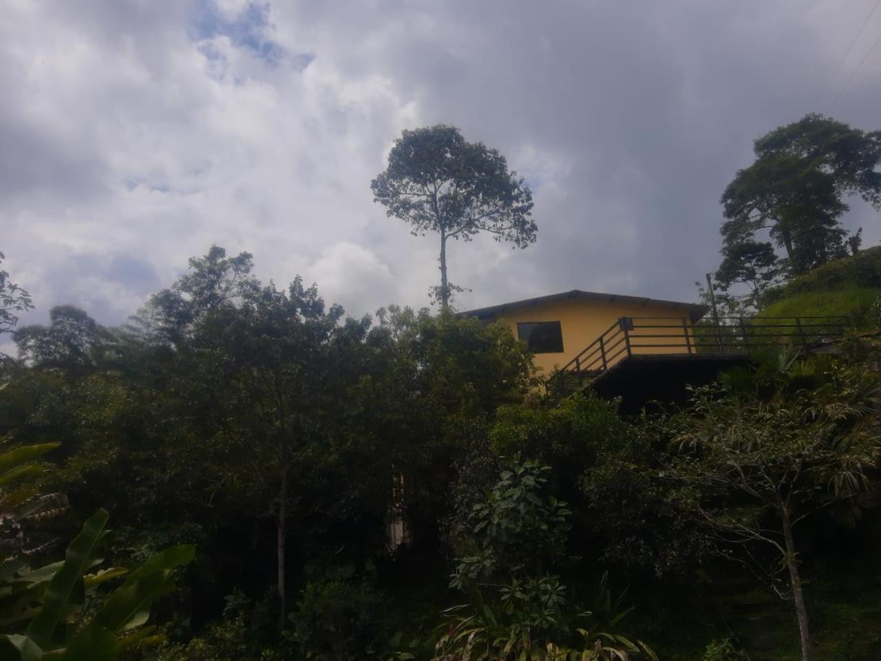 Finca Hostel El Regalo