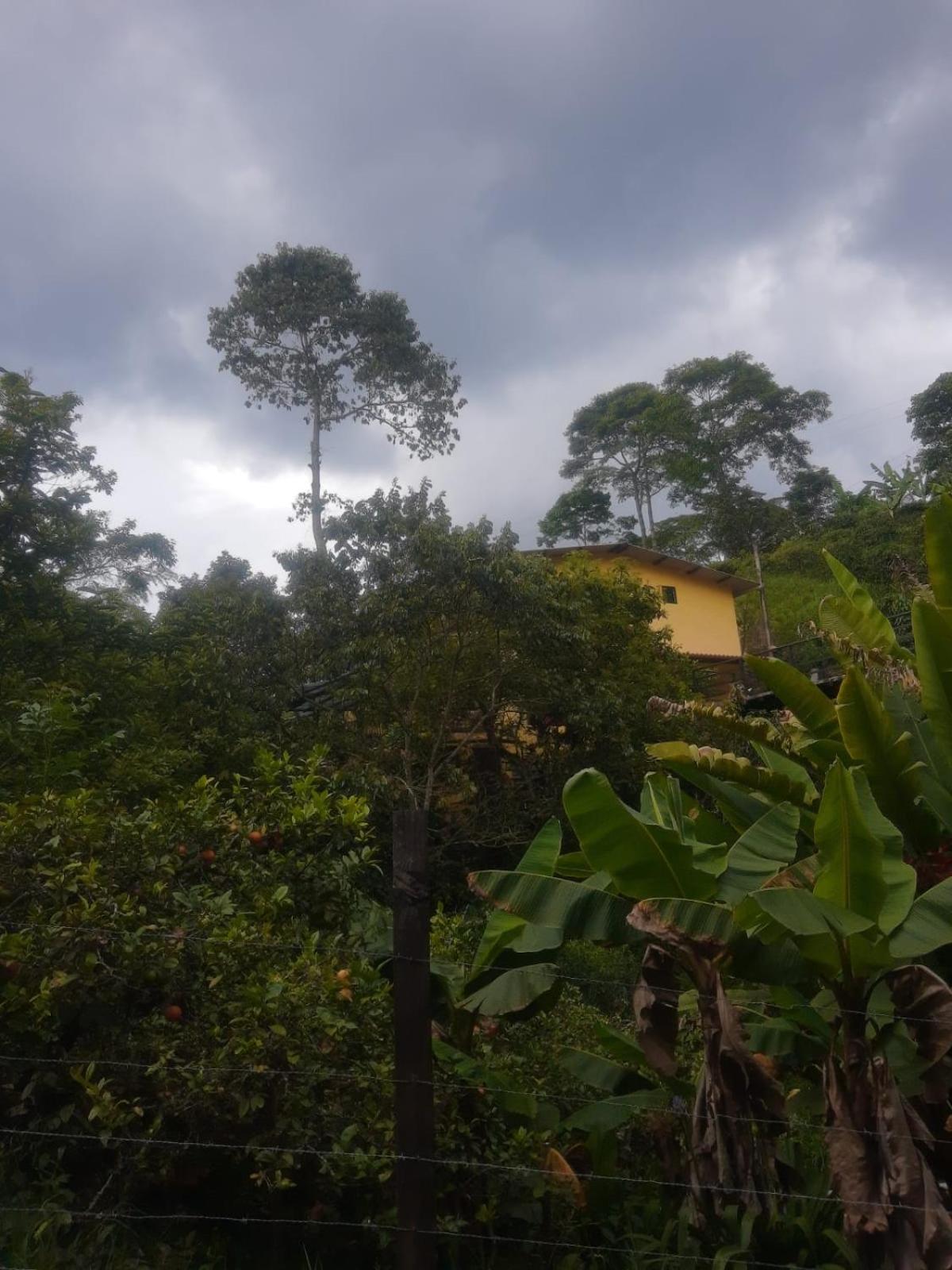 Finca Hostel El Regalo