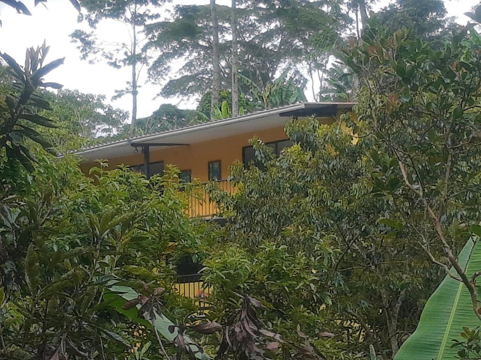 Finca Hostel El Regalo
