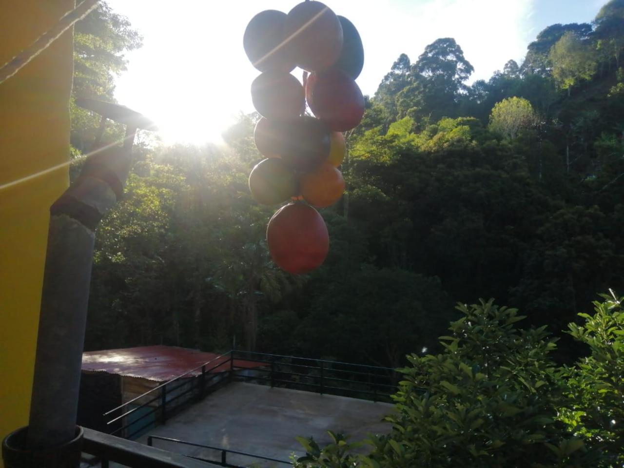 Finca Hostel El Regalo