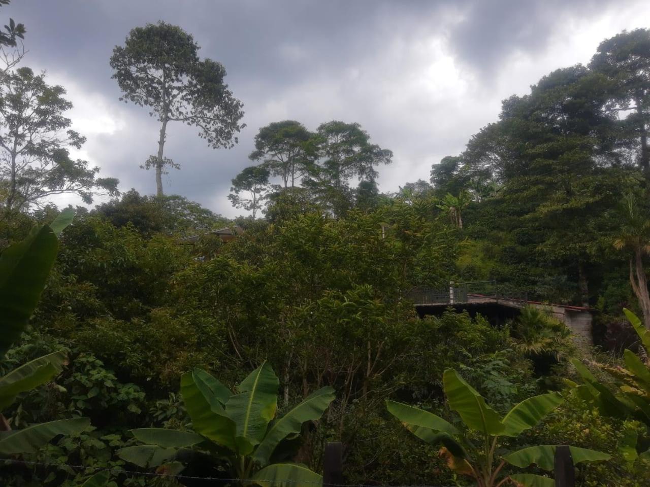 Finca Hostel El Regalo