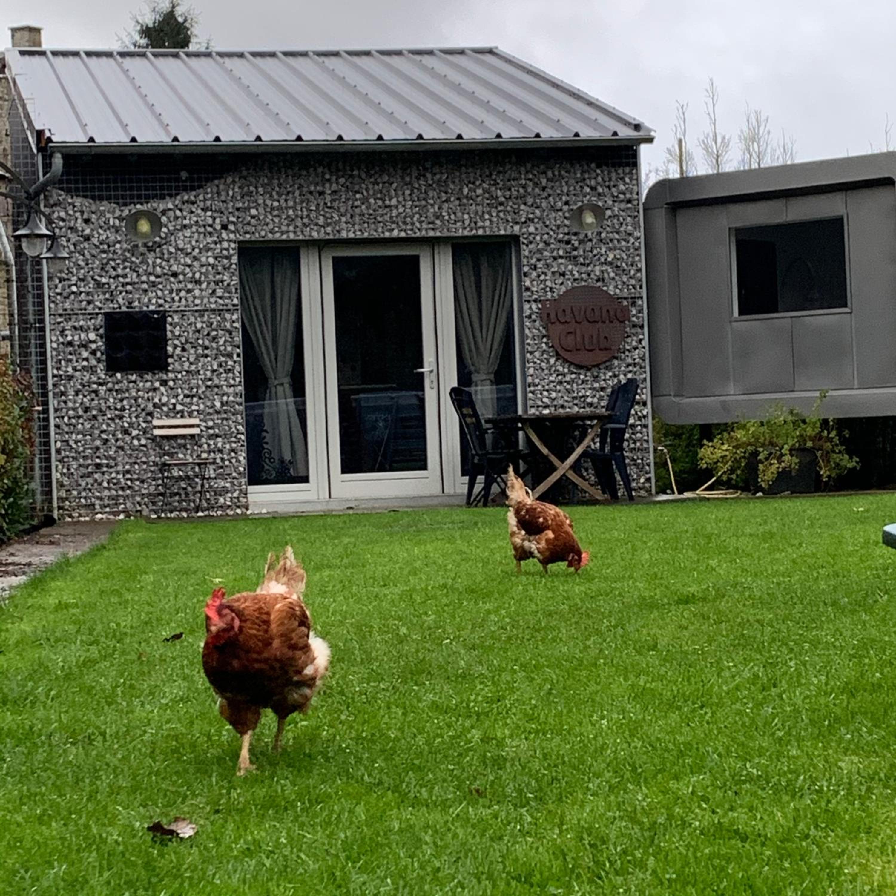 Dailly Chalet insolite view 5