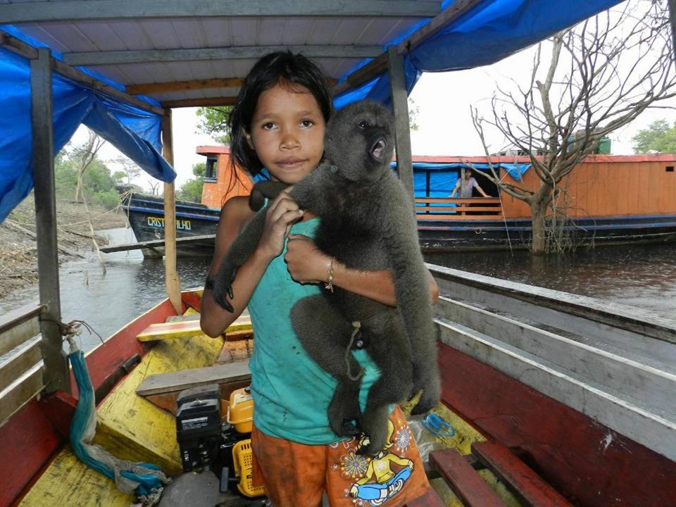 Amazon Boto Lodge Hotel
