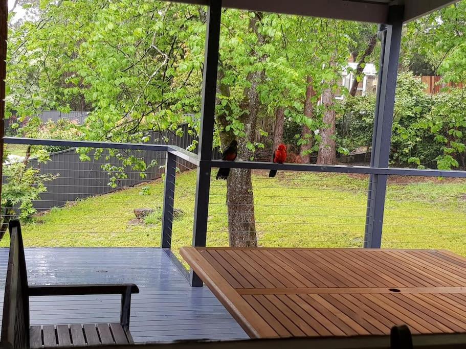 GreenLeafRetreat in Katoomba-Leura-Wentworth Falls-Blue Mountains-Pets Welcome-Free Parking & WIFI