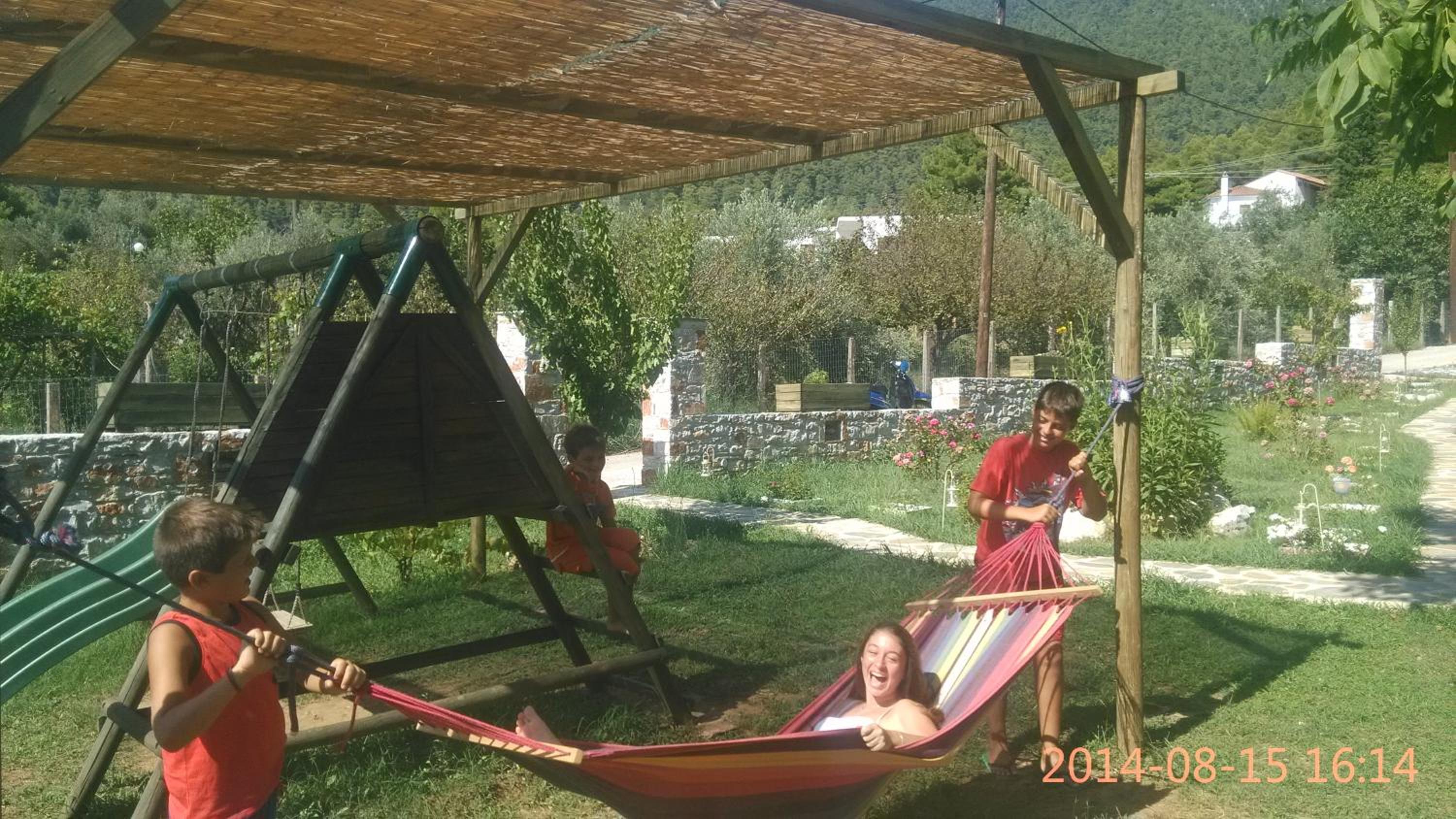 Photo 46