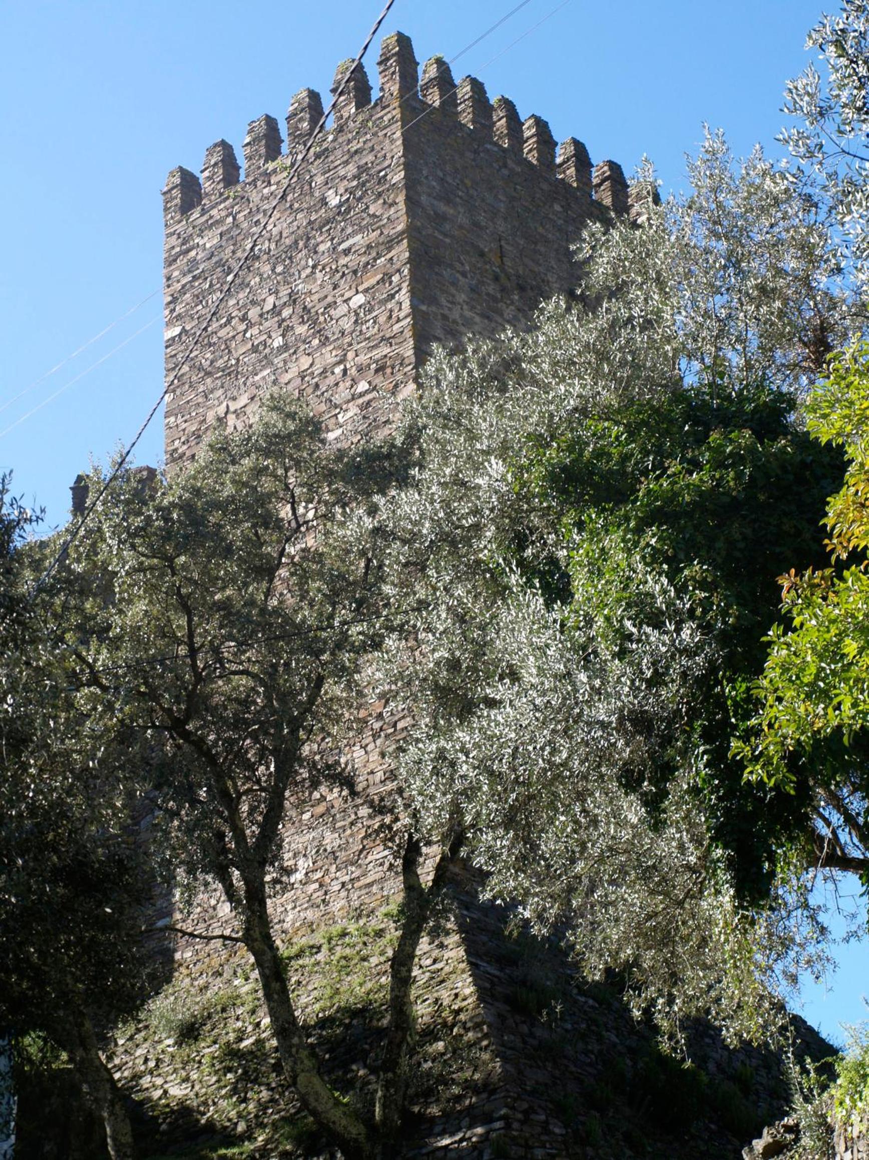 Photo 33