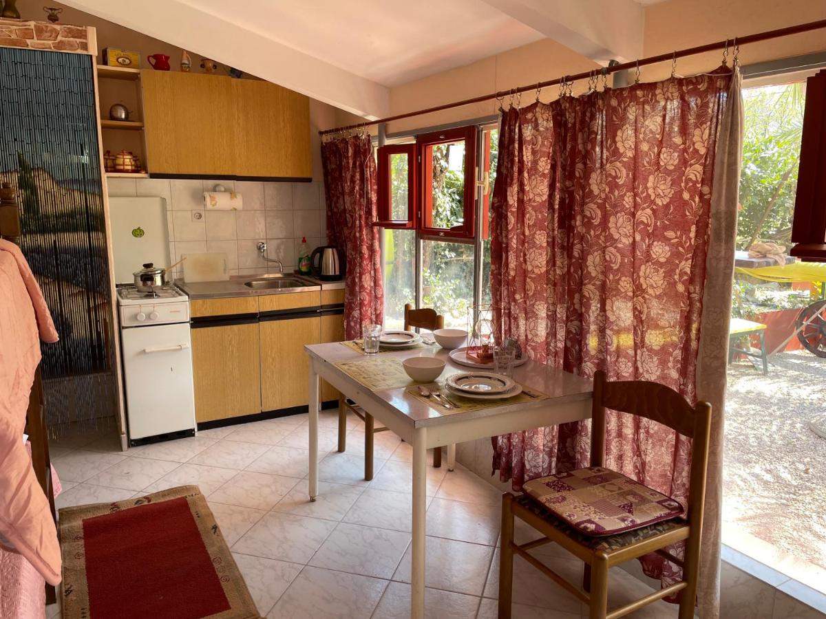 Pets wellcom house with garden view 4