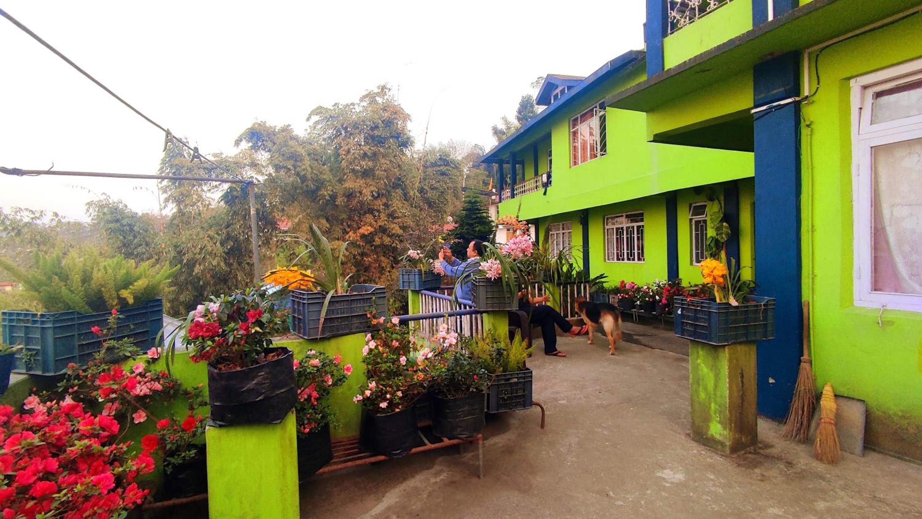 Dream Wood Homestay view 2