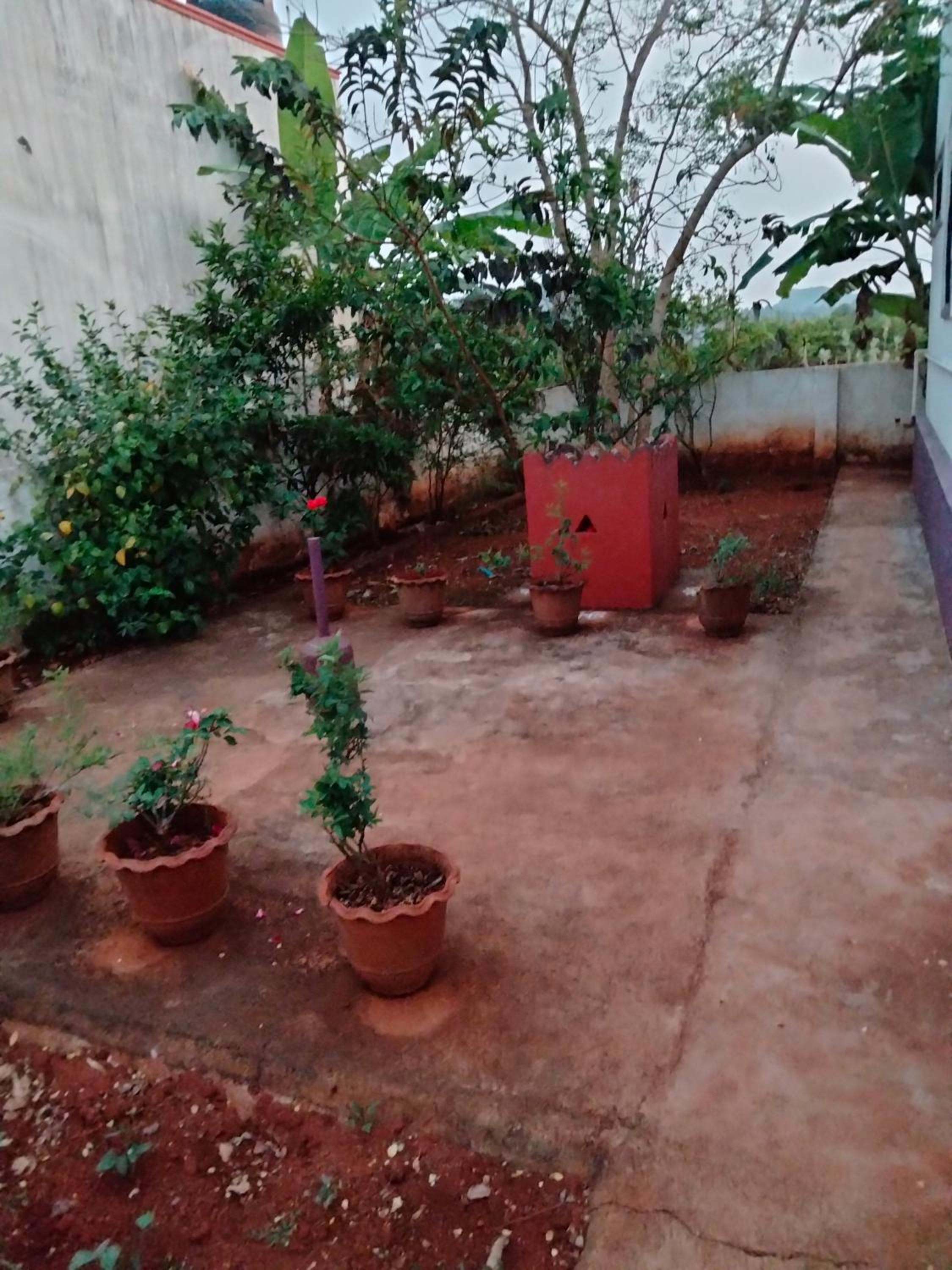 Photo 21