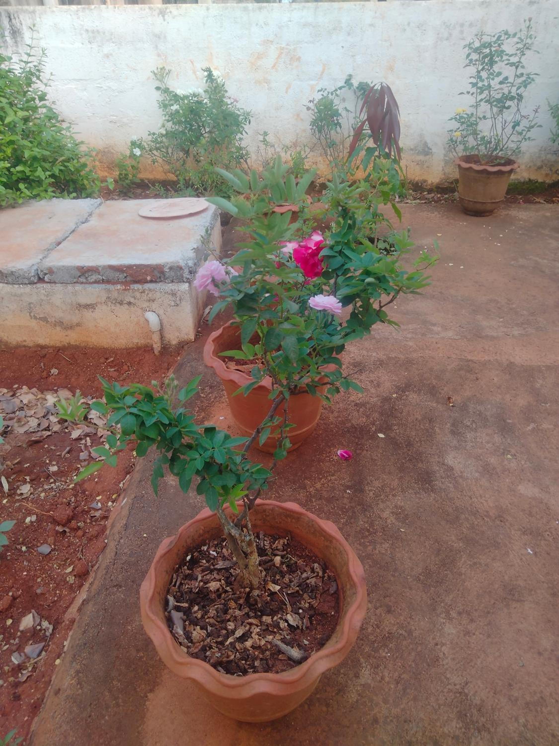 Photo 20