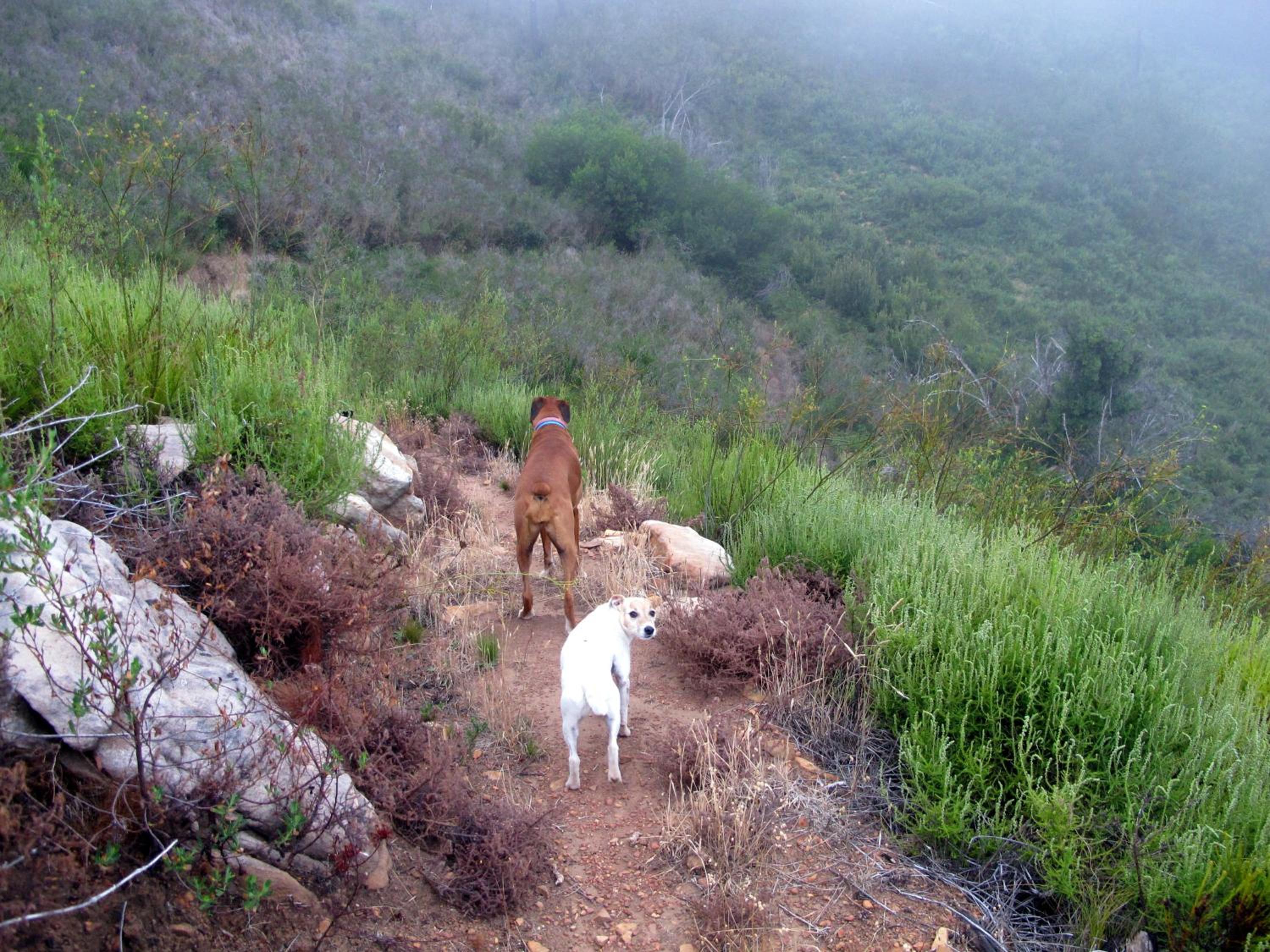 Photo 25