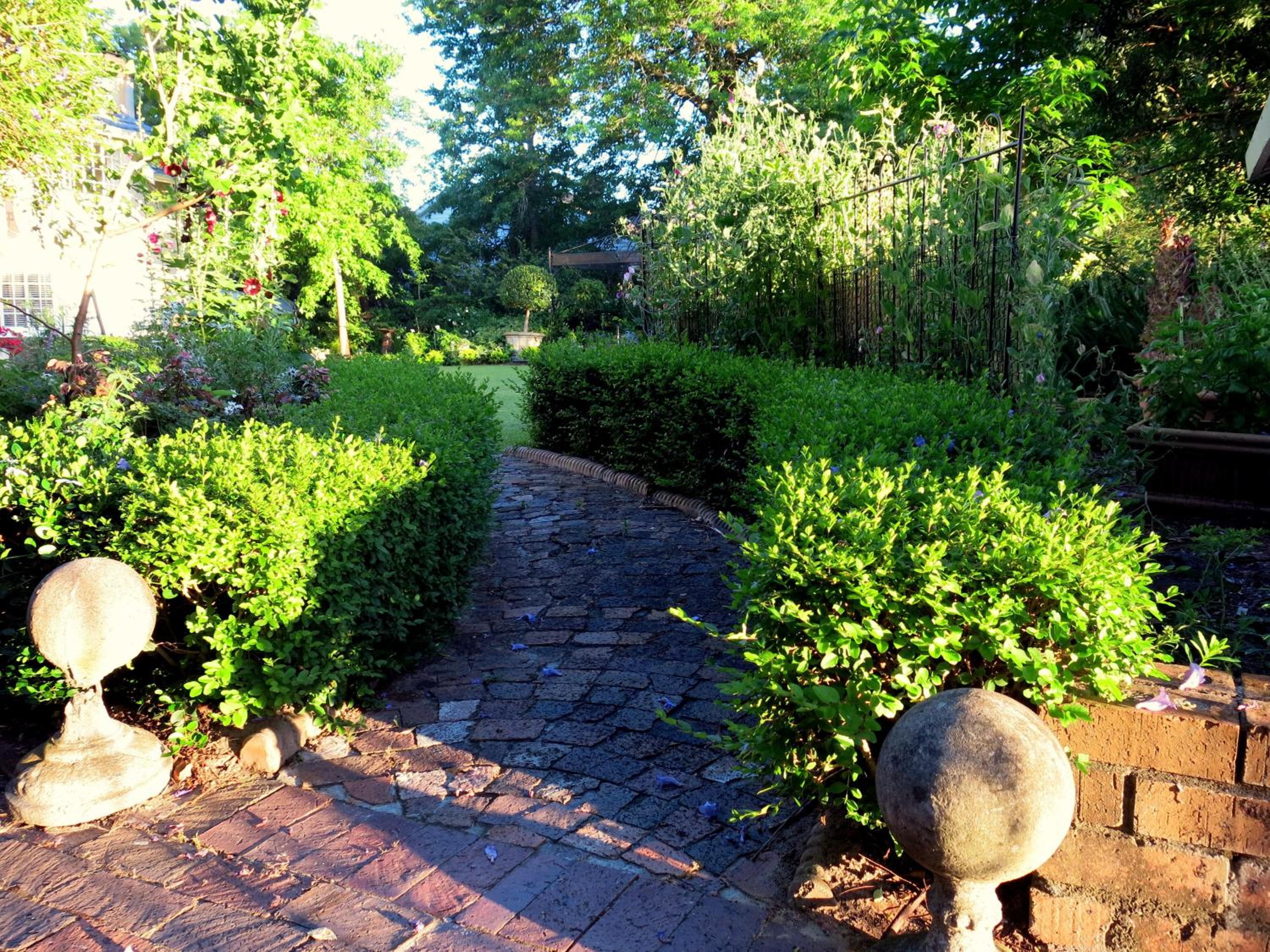 Photo 19