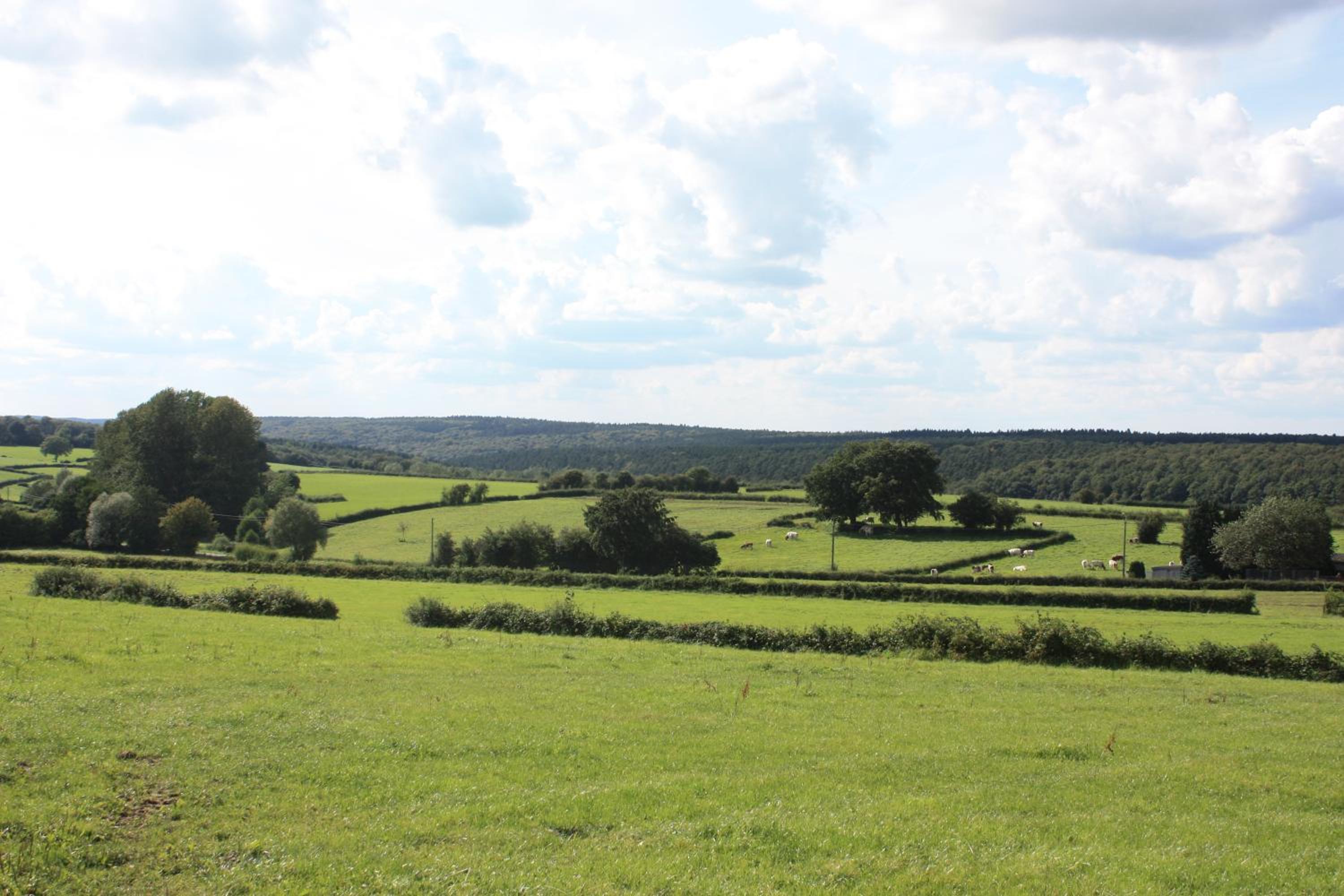 Au Coin des Sources B&B Sart-lez-Spa