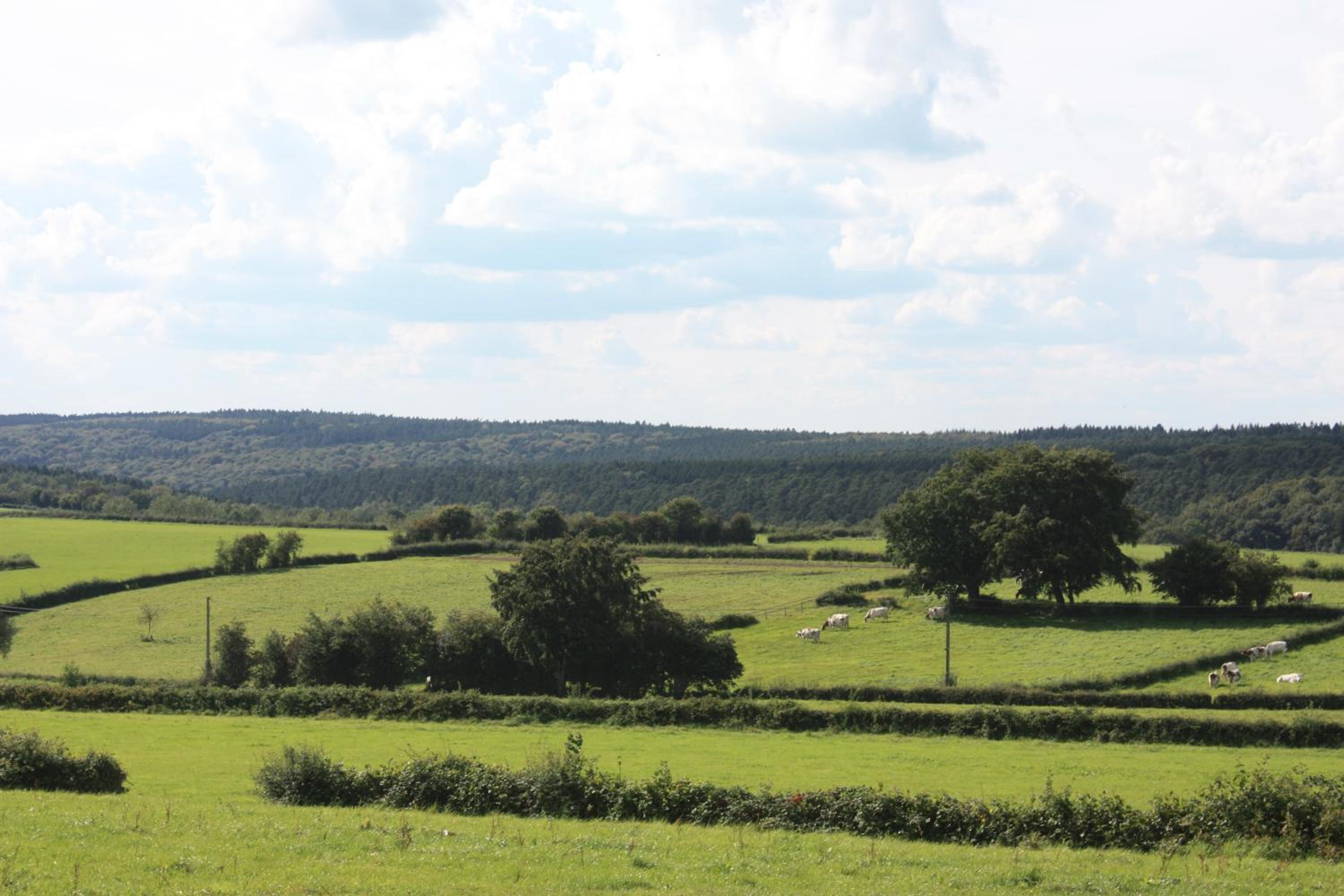 Au Coin des Sources B&B Sart-lez-Spa