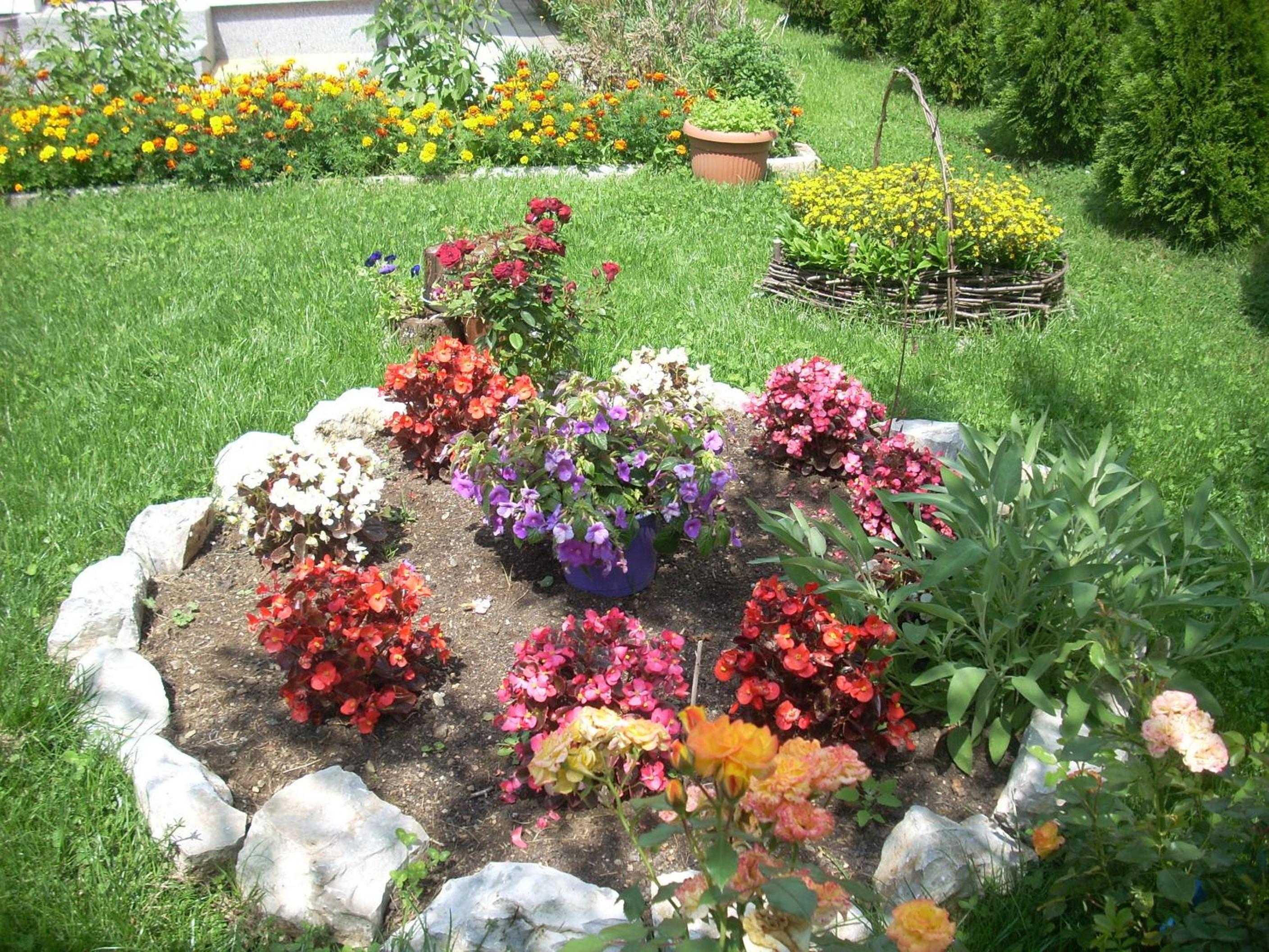Photo 48