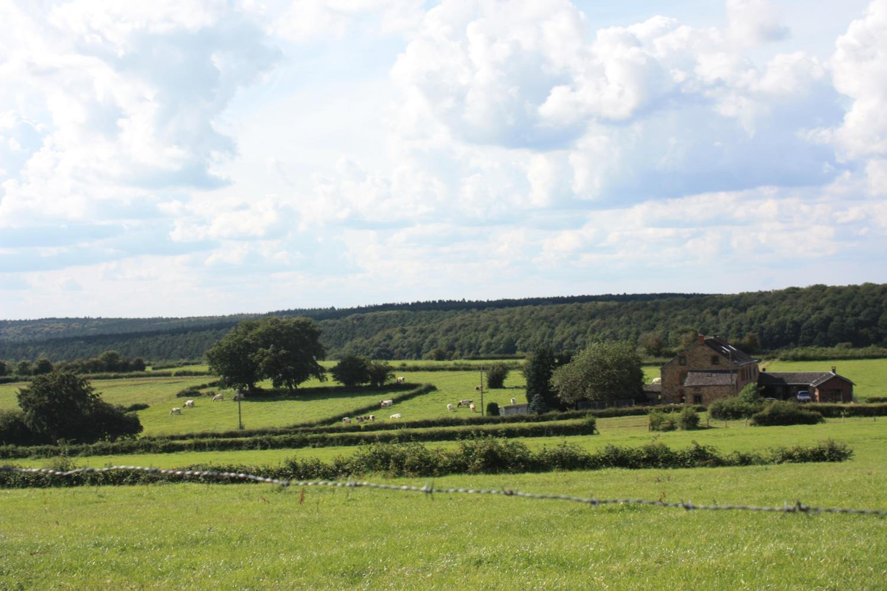 Au Coin des Sources B&B Sart-lez-Spa