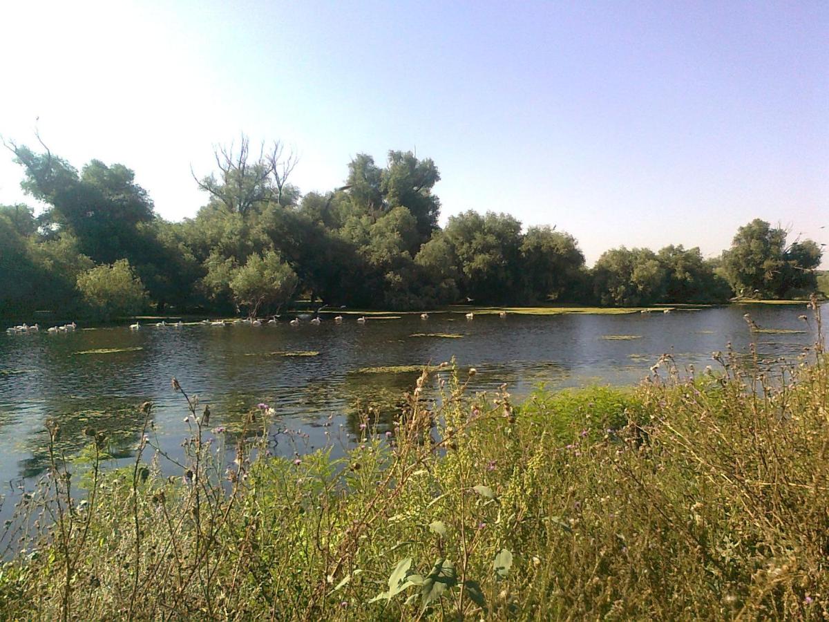 Photo 28