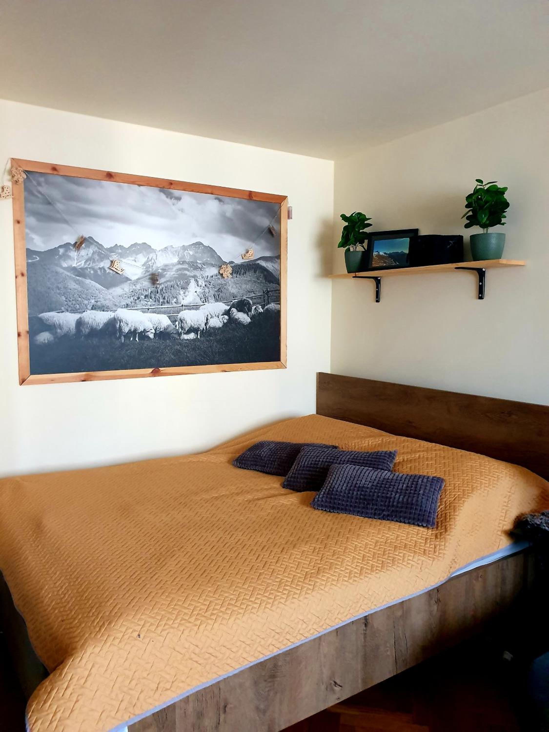 Apartament IZBA W CENTRUM view 2