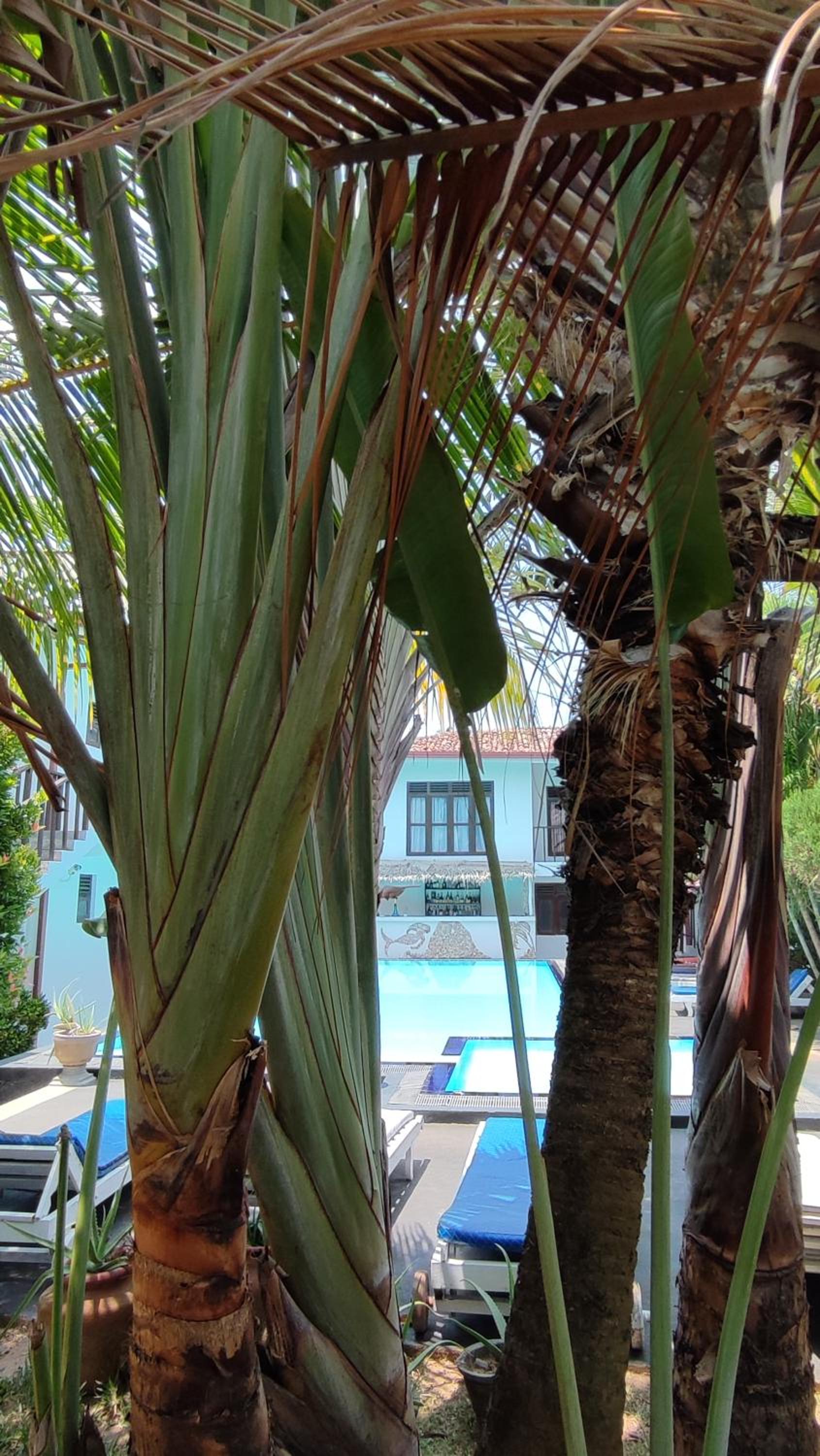 Villa Tangalle Lagoon
