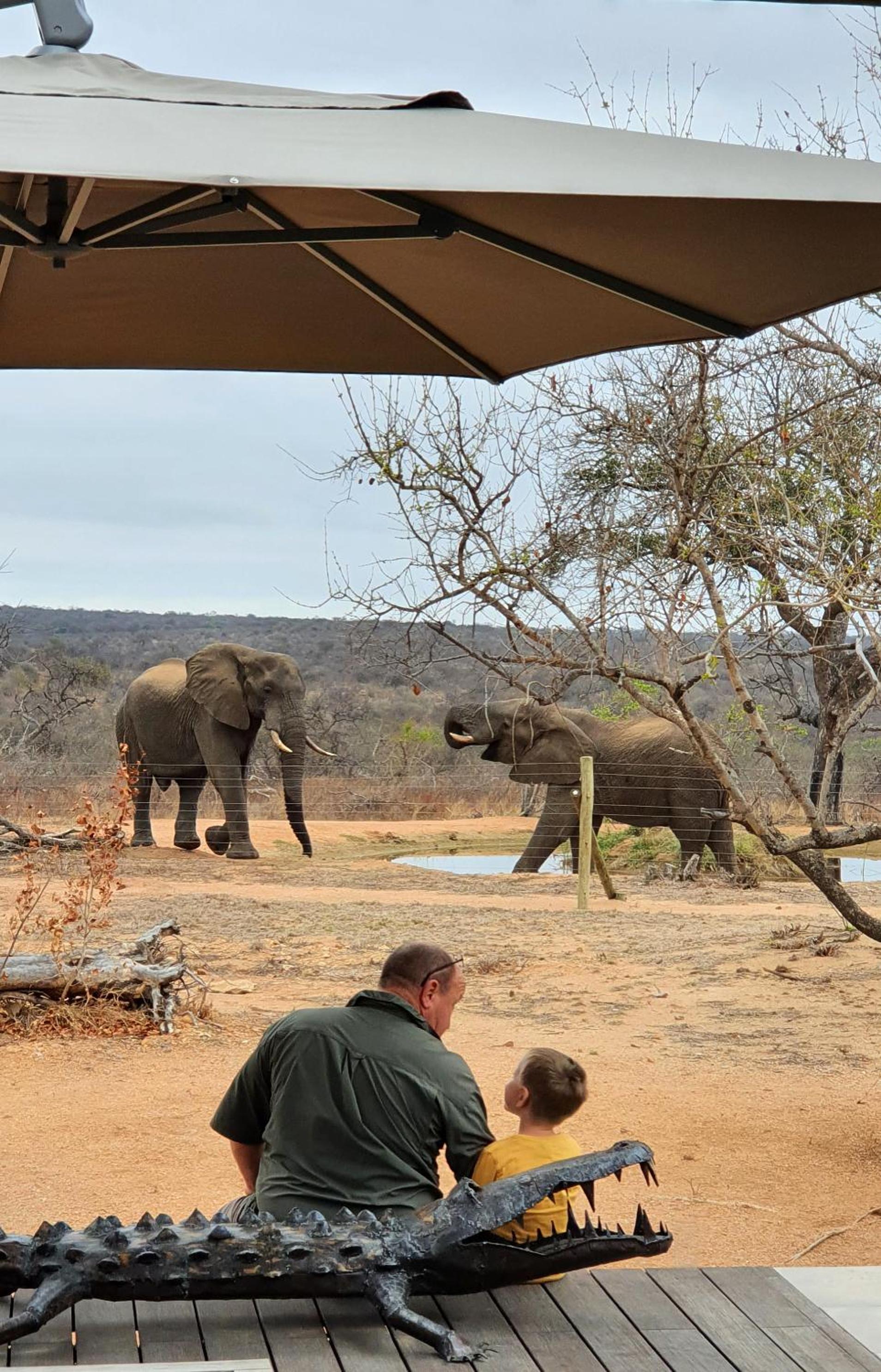 Imagine Africa Luxury Tented Camp view 5