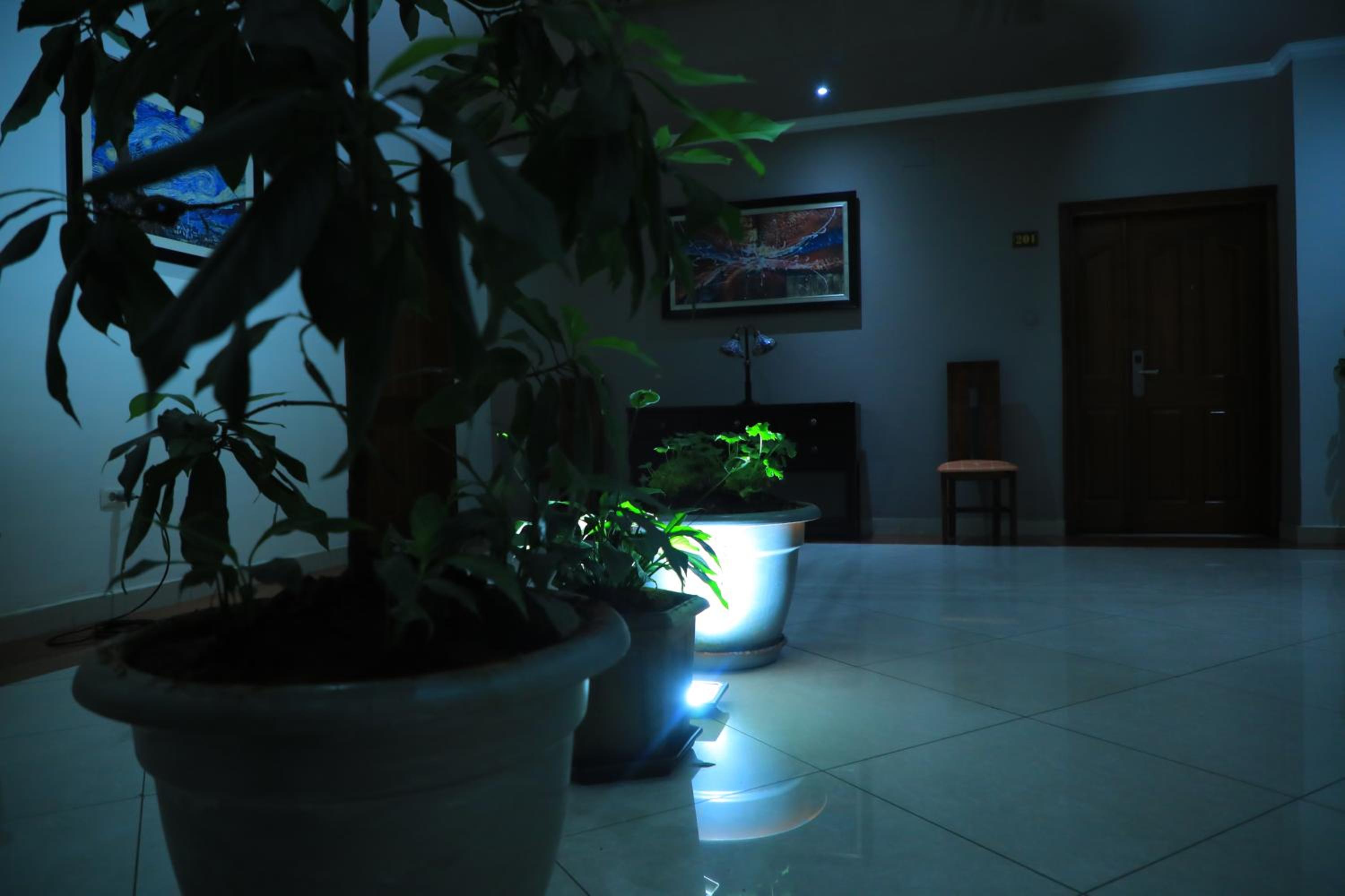 Victoria Hotel Apartment