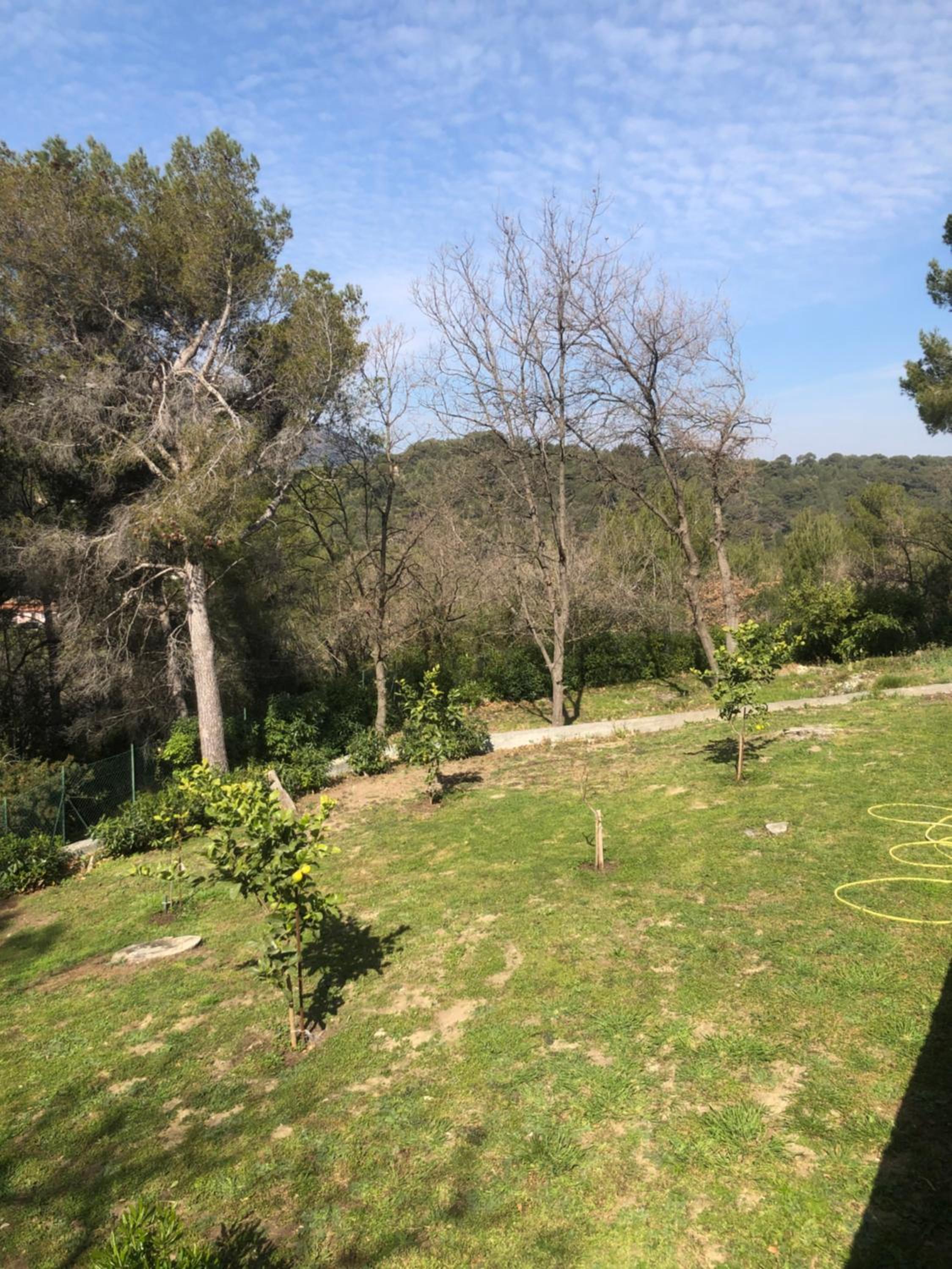 Photo 33