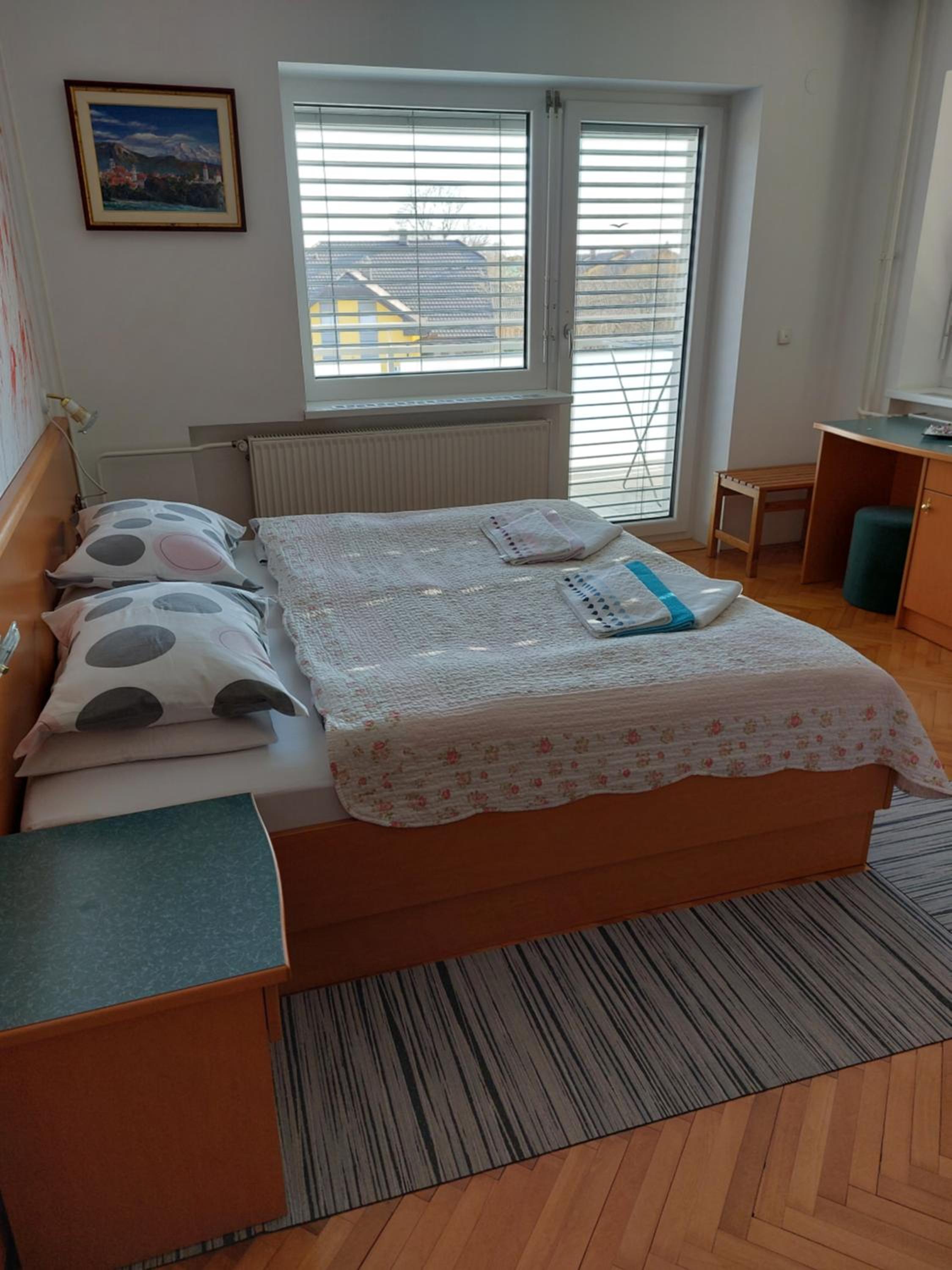 Apartmaji Tisa view 5