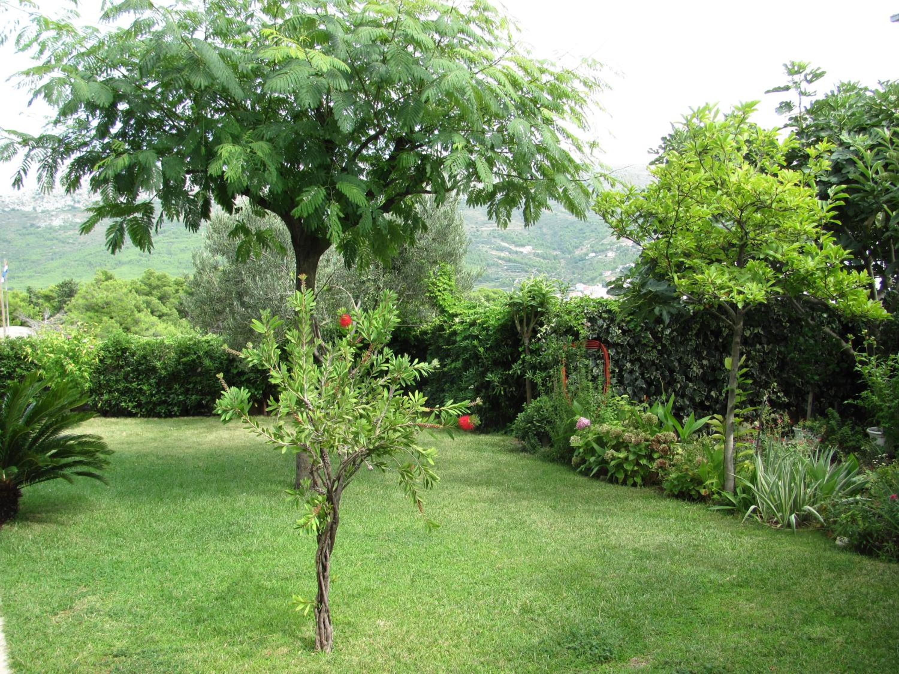 Photo 27