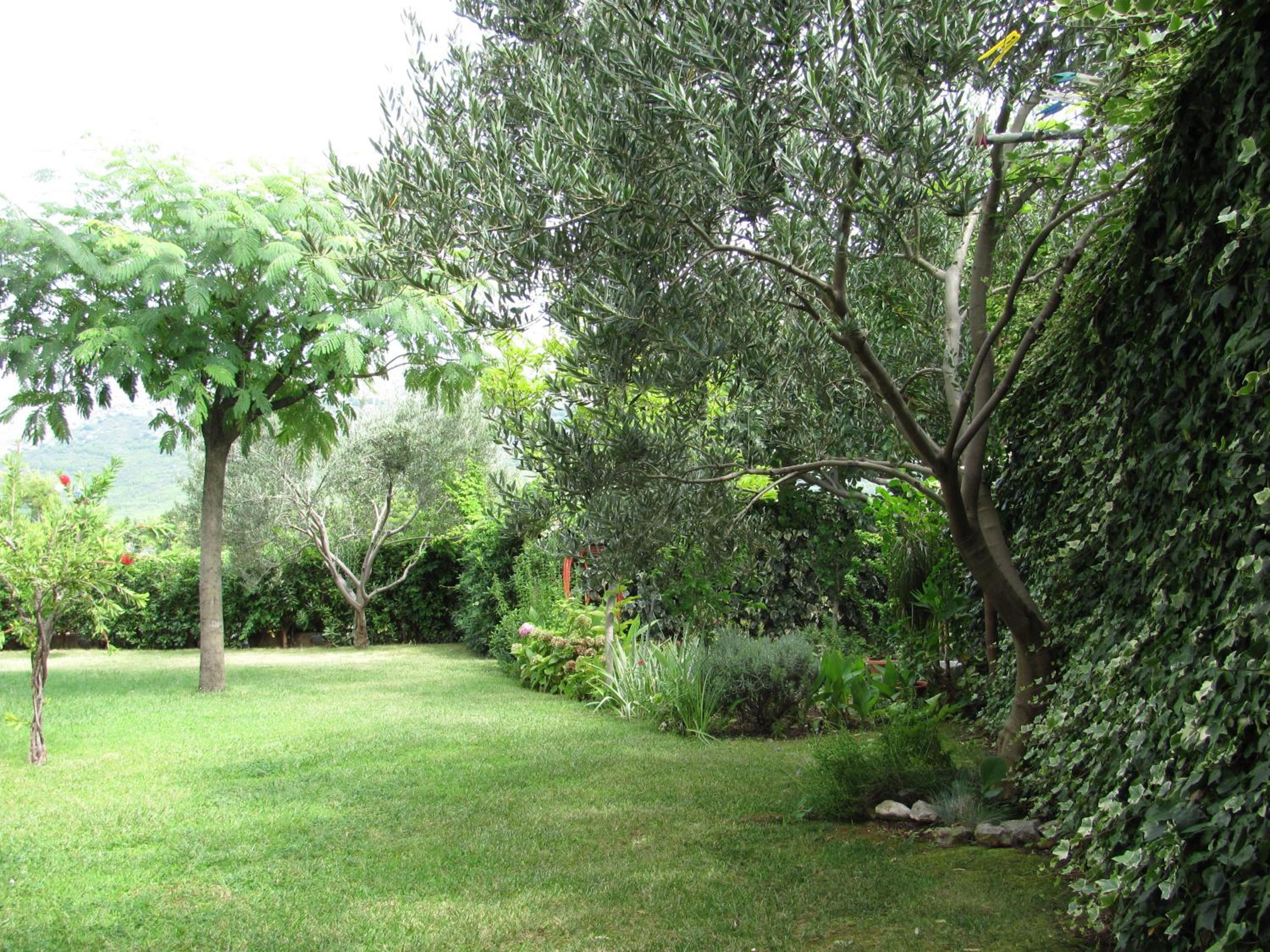 Photo 30