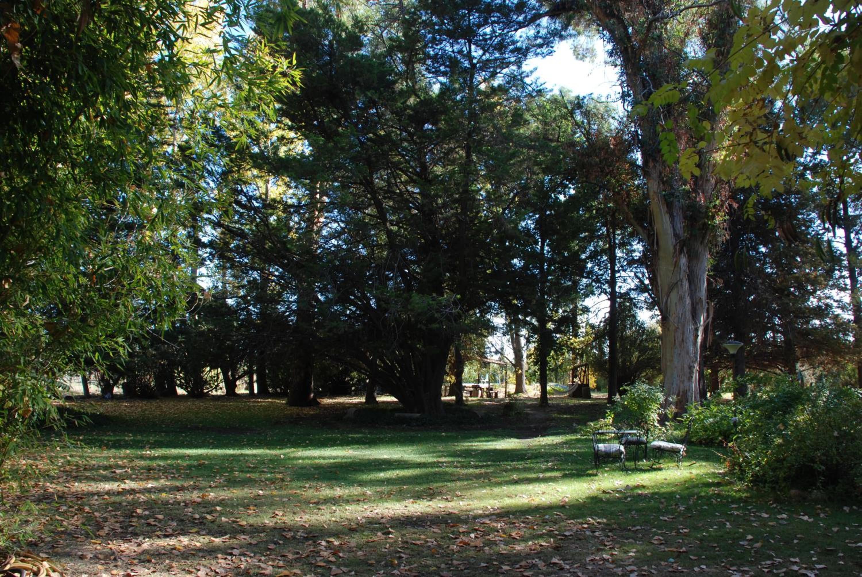 Chalet Los Troncos