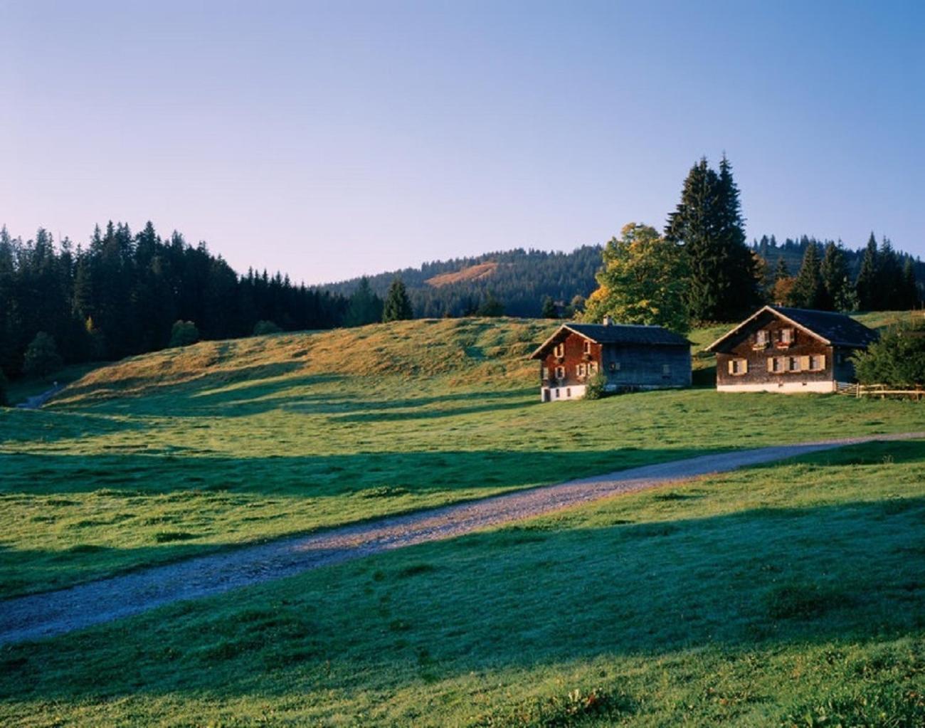 Photo 40