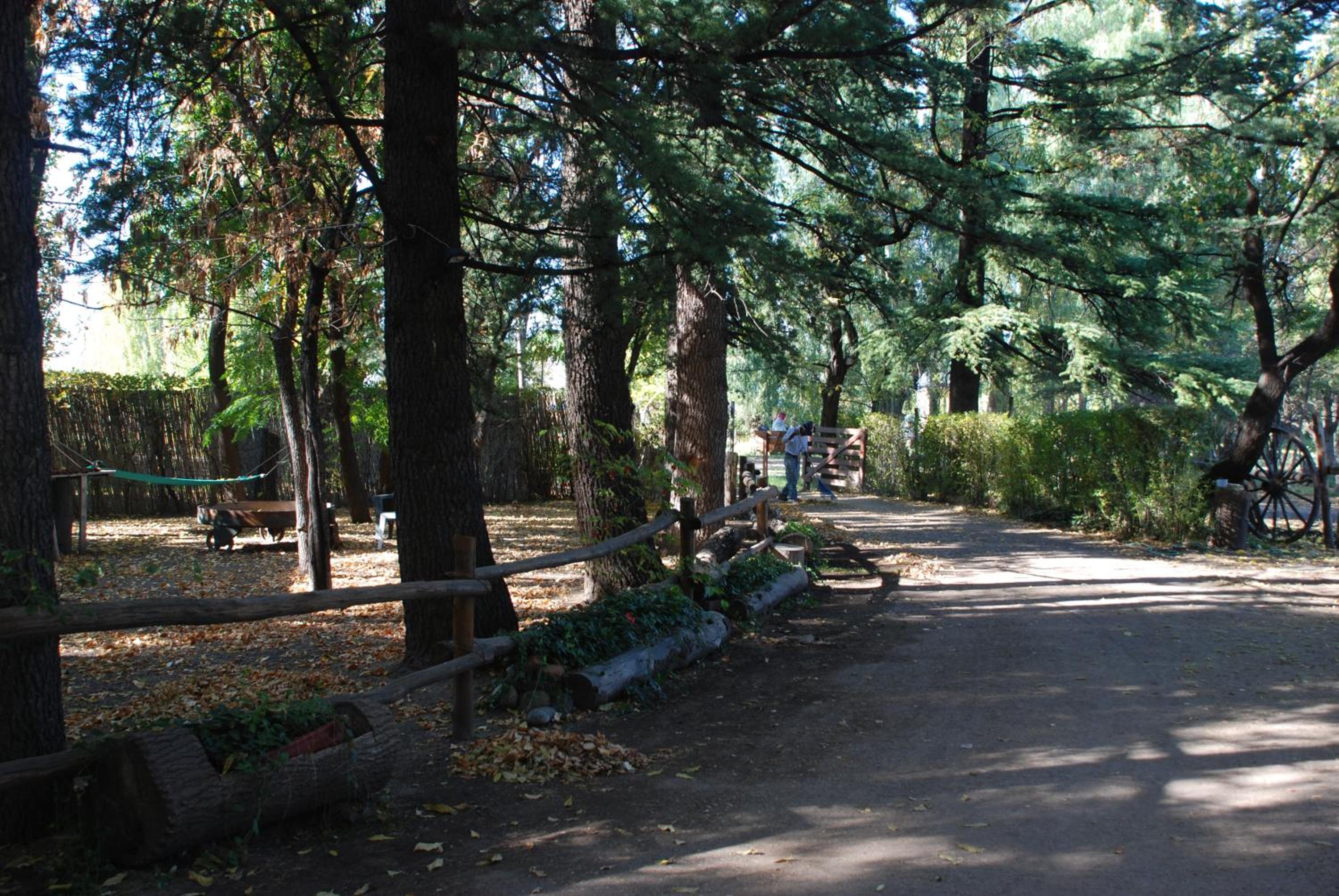 Chalet Los Troncos