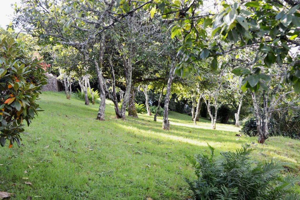 Thornwell Cottage - Heart of the village, amazing gardens, glorious views and brimming with character