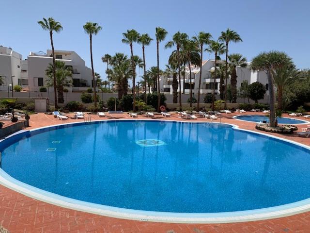 EL DORADO HOLIDAYS en Playa de las Americas — recepcion & lobby