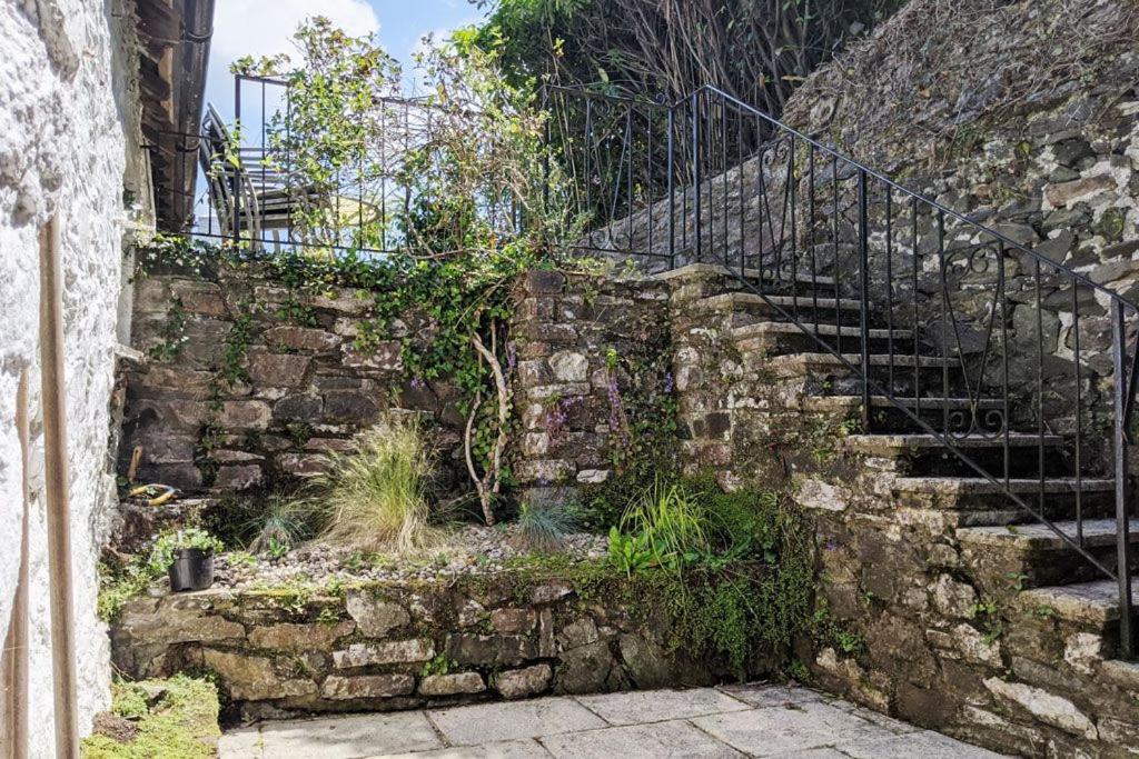 Holly Cottage - characterful cottage a stones throw from river Dart with front & back patios