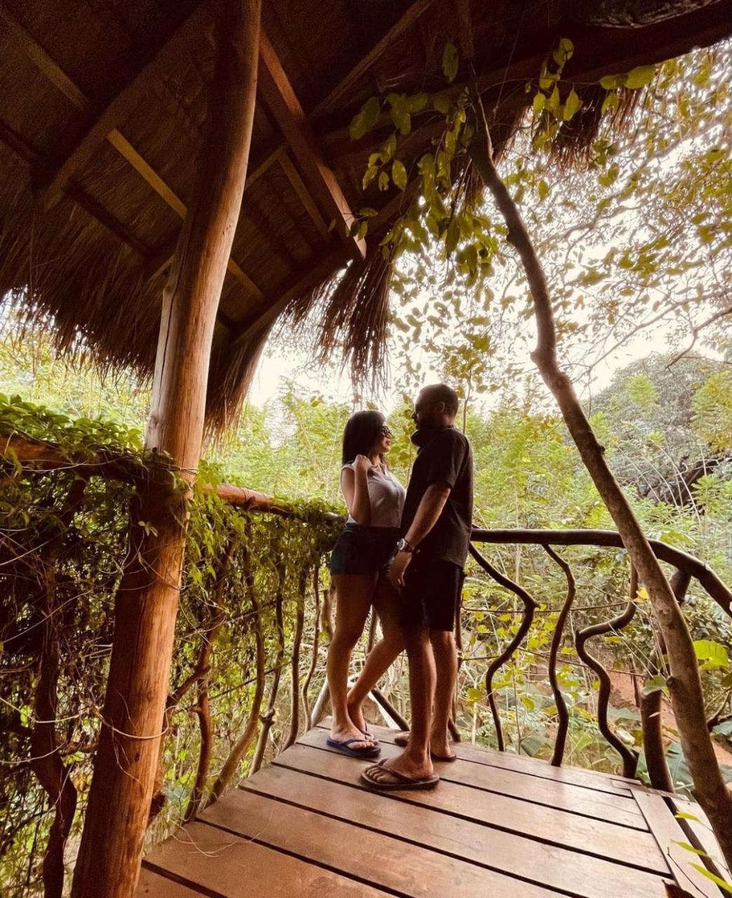 Habarana Tree House Ambasewana Resort