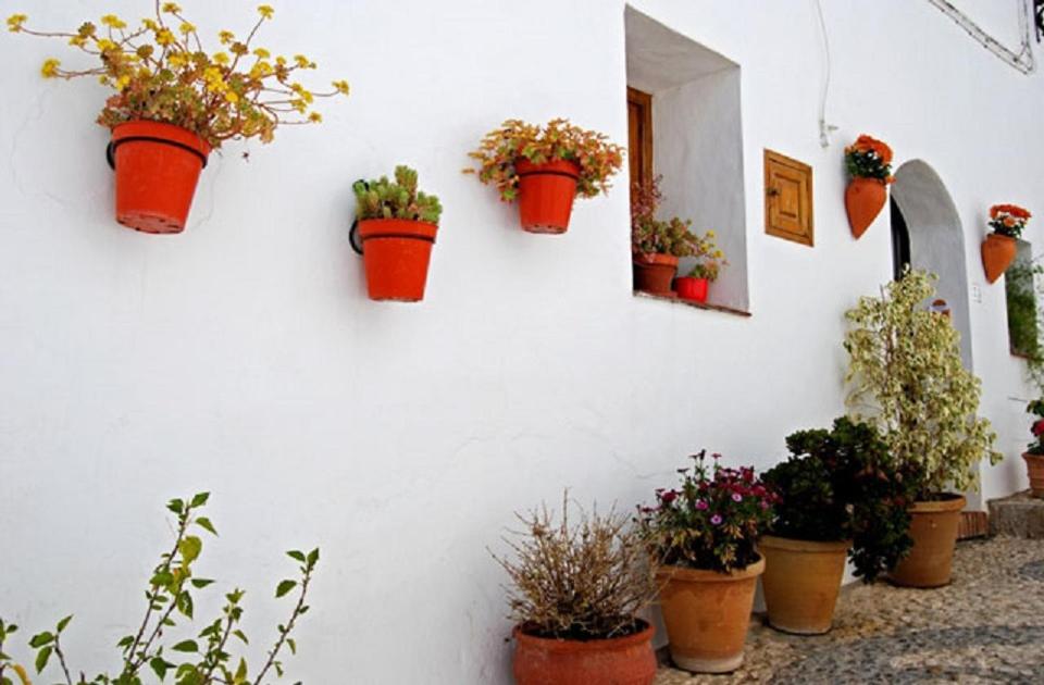 Apartamento de 2 dormitorios photo 2