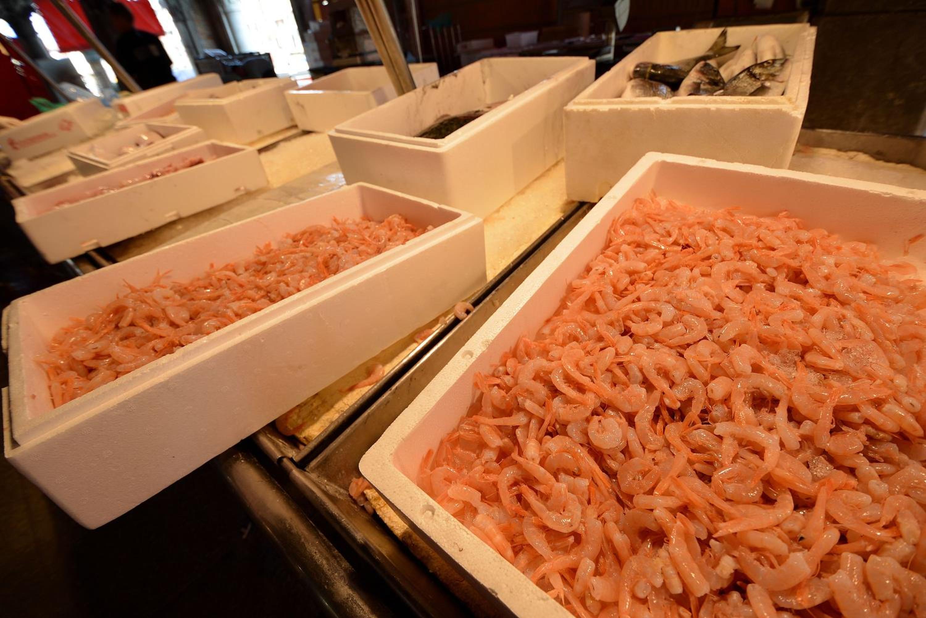 RIALTO-STUA-MARKET en Venice