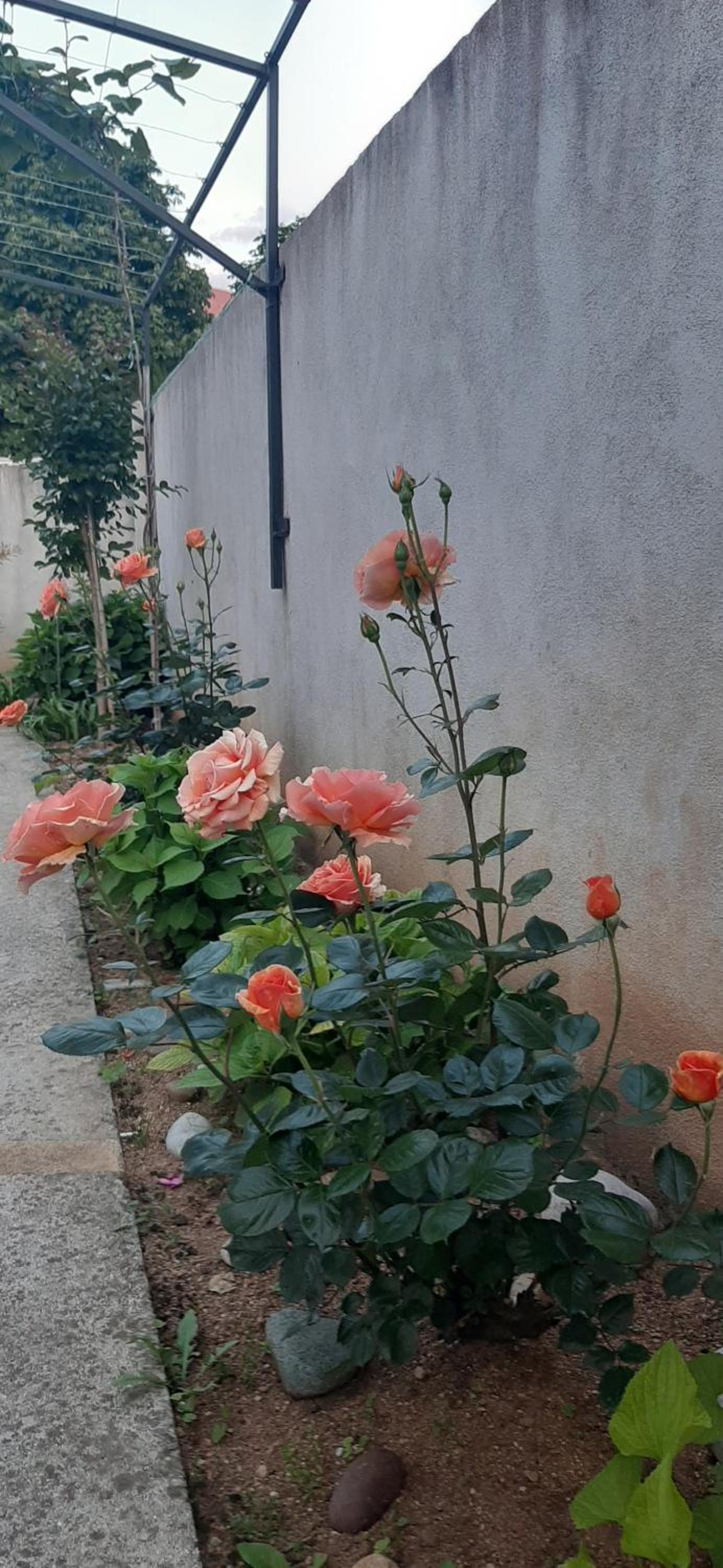 Guest House Vanja