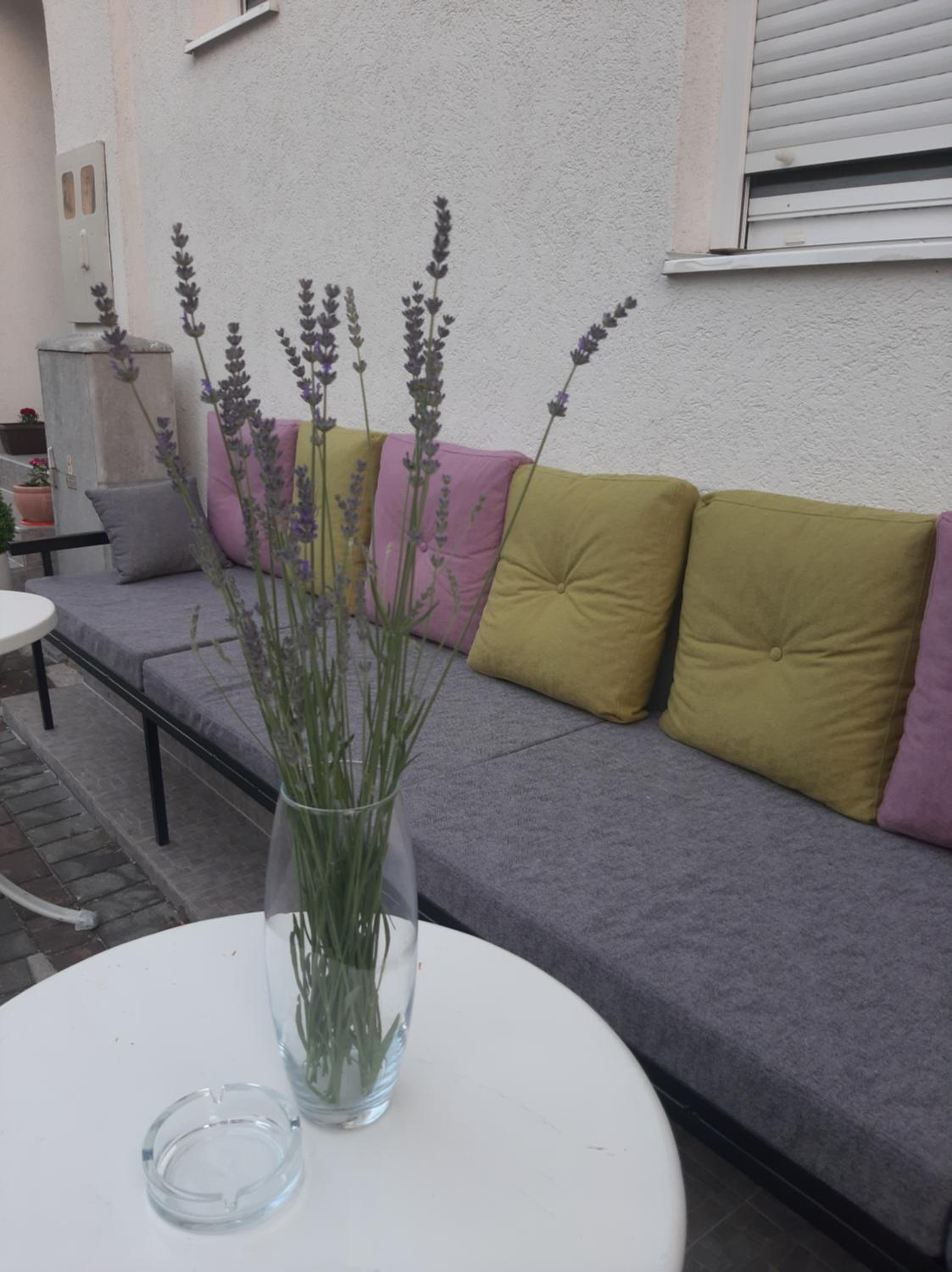 Guest House Vanja