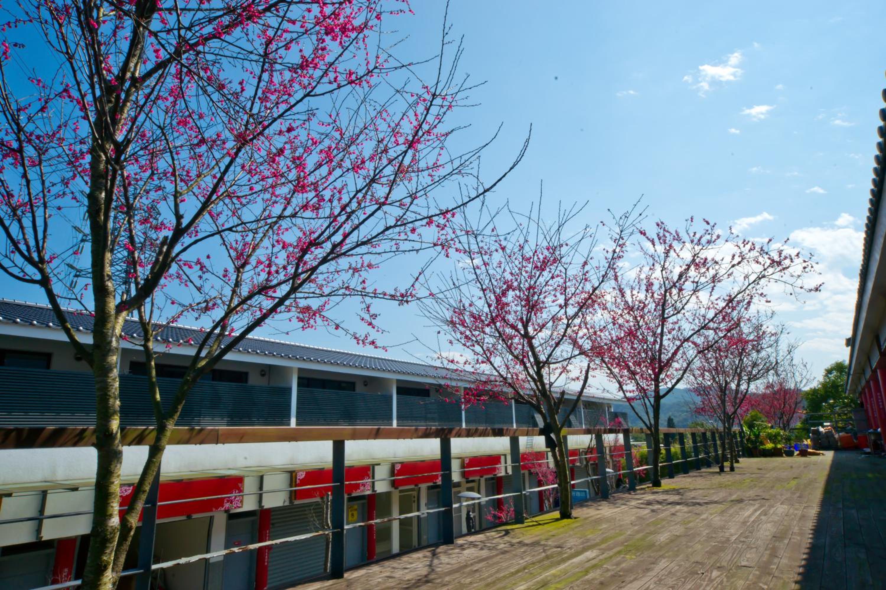 Miaoli Sanyi Bo Wu Guan Homestay