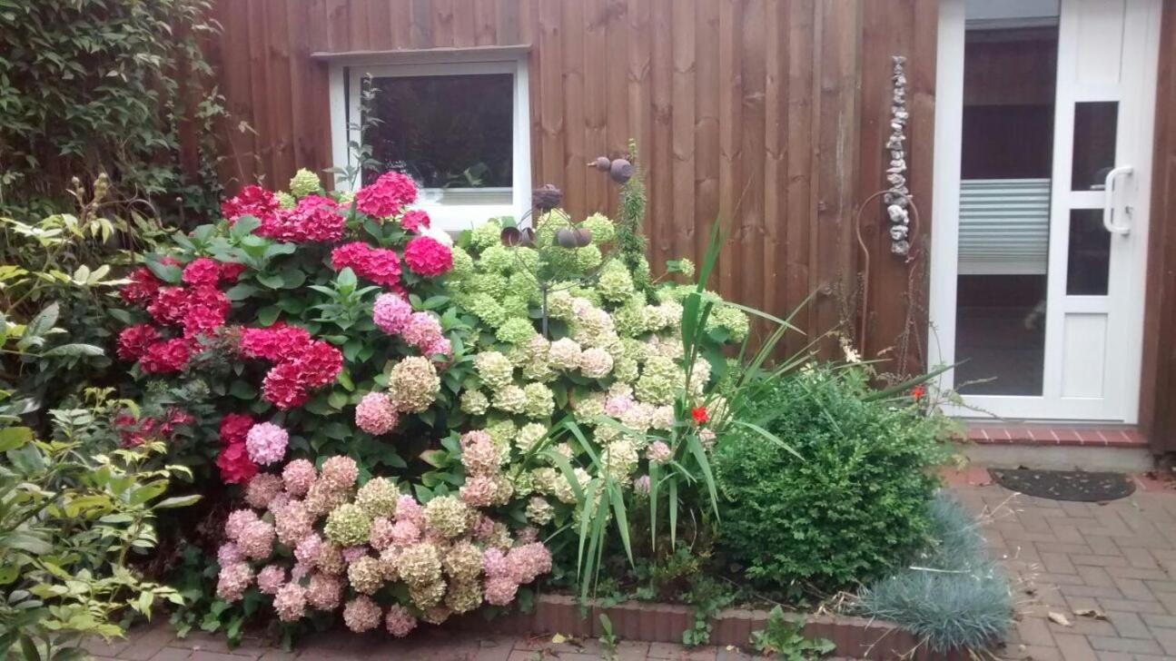 1 Raum Appartement mit Küchenzeile in Kappeln view 4