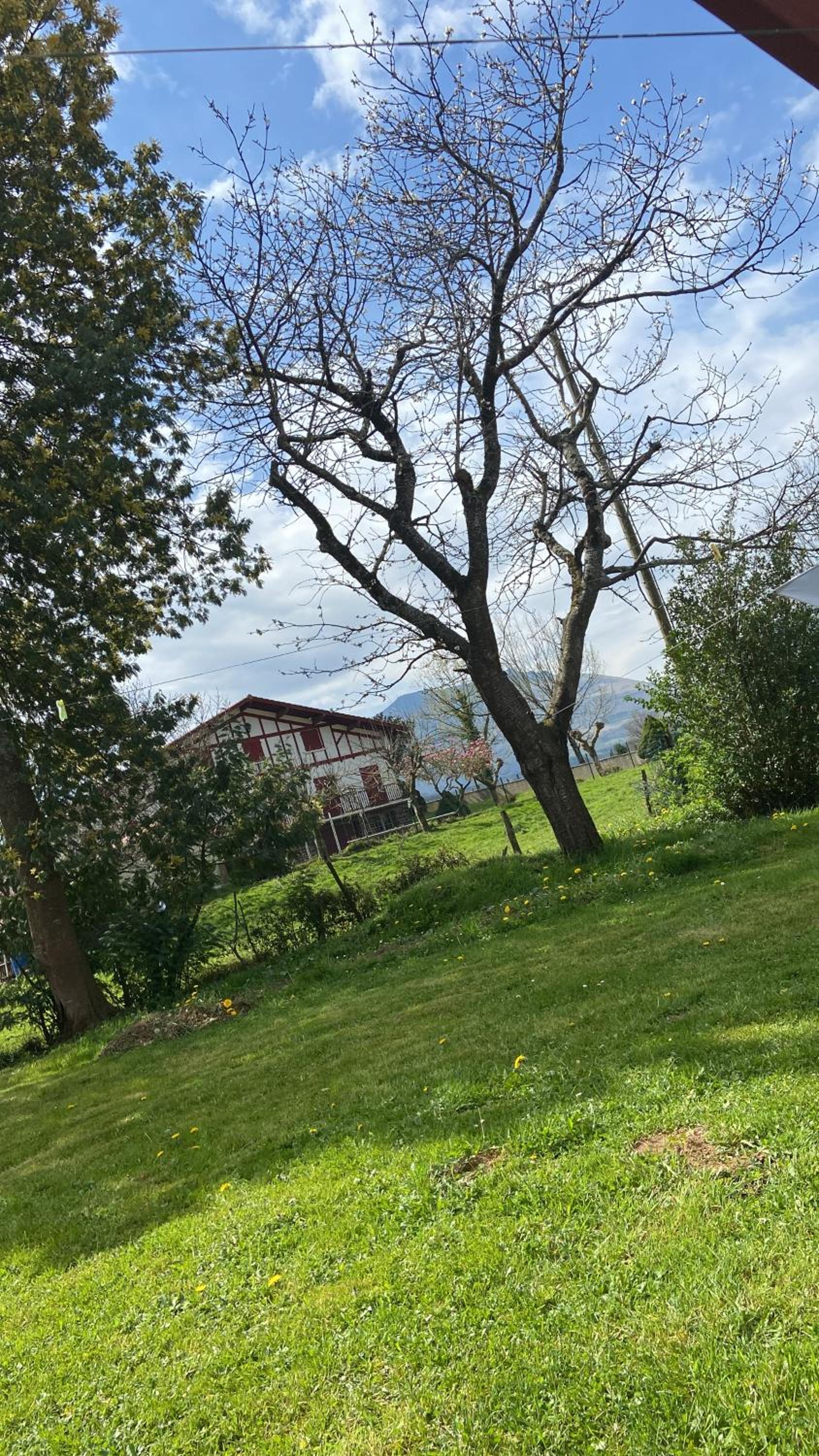 MAISON AMORAINA view 3