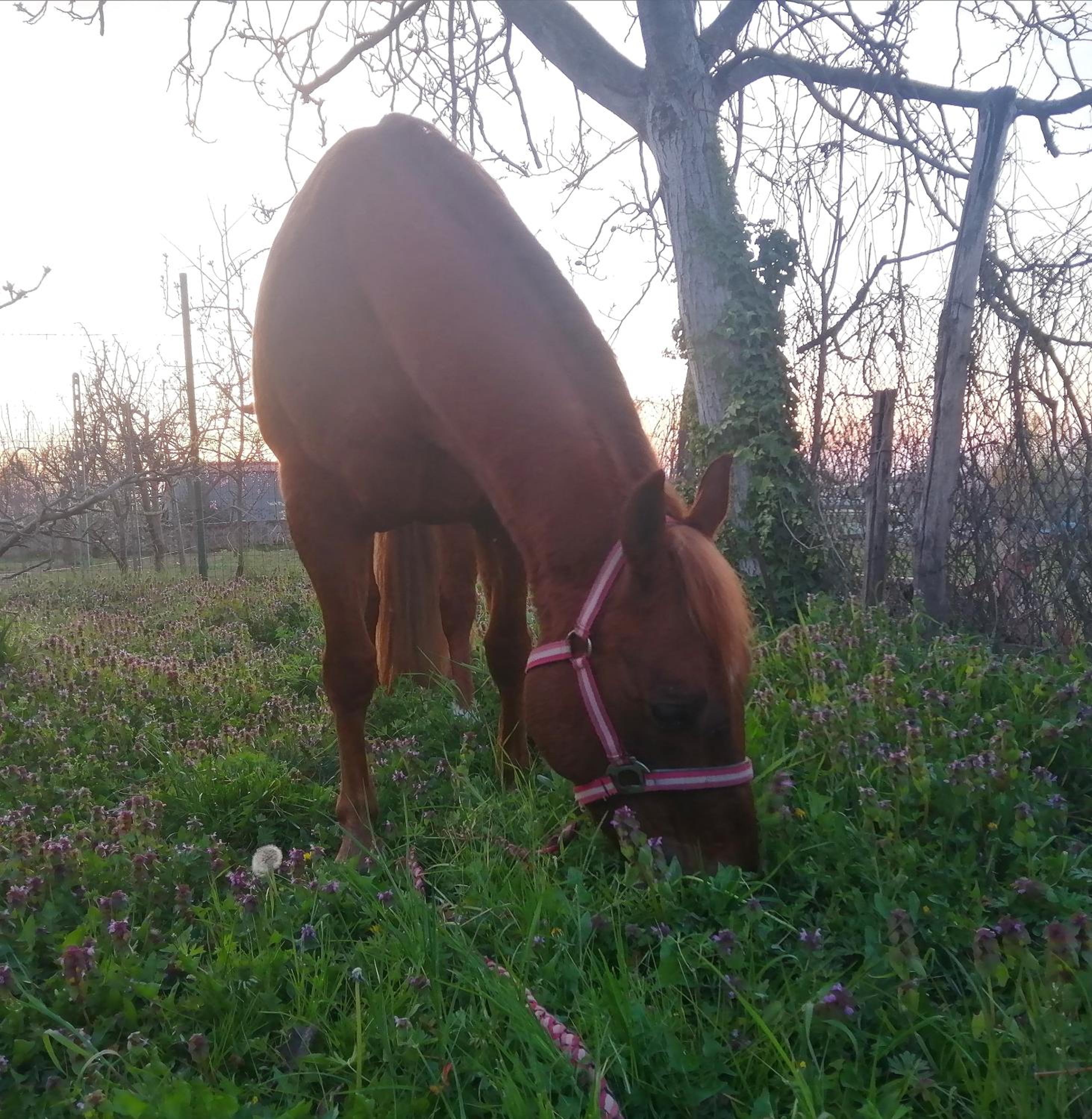 Felix House - Property Image 86