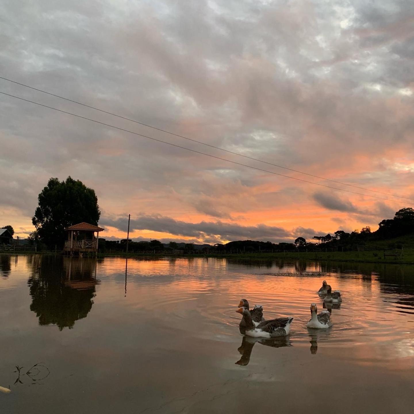 Sítio Rota das Araucárias