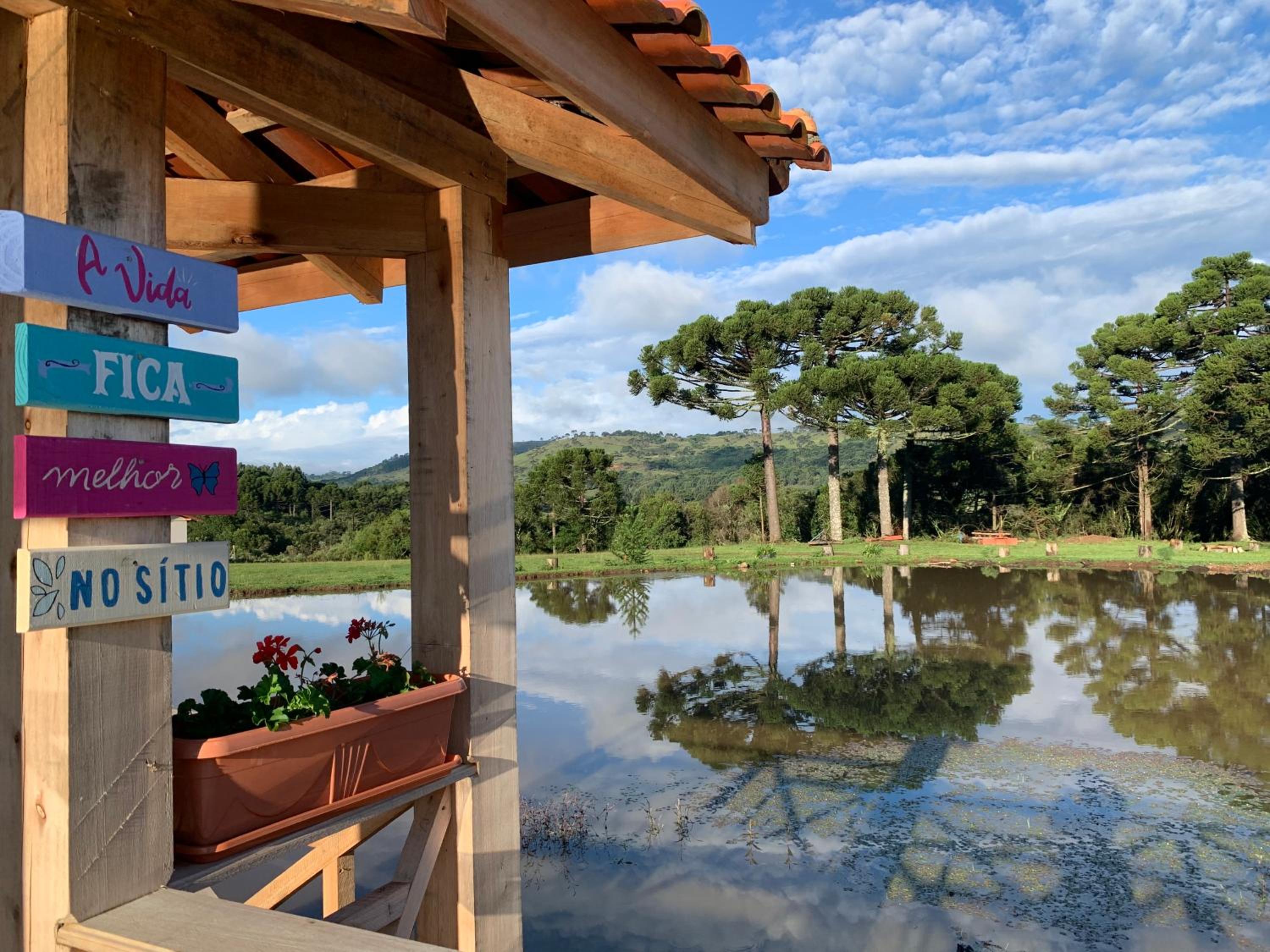 Sítio Rota das Araucárias