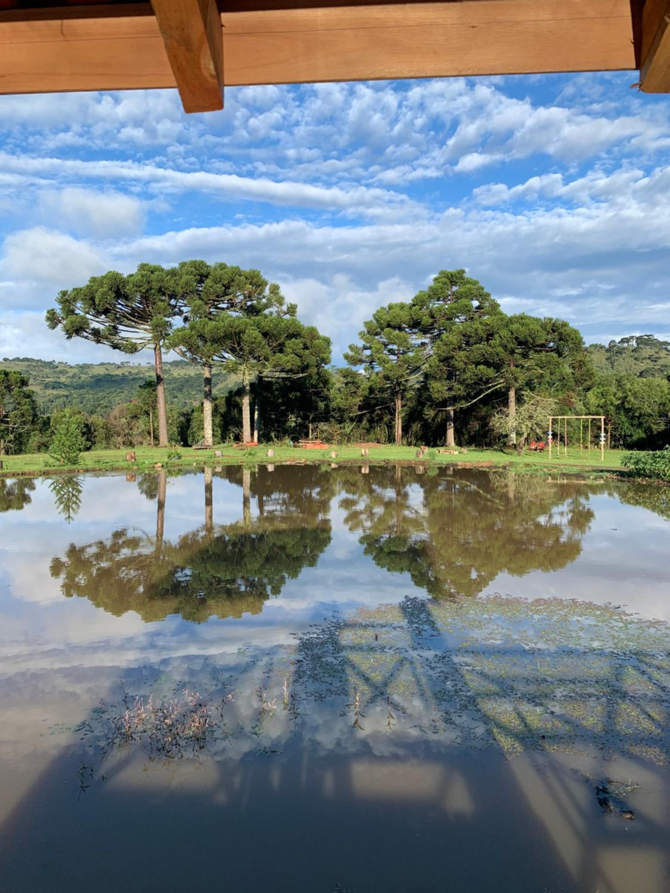 Sítio Rota das Araucárias