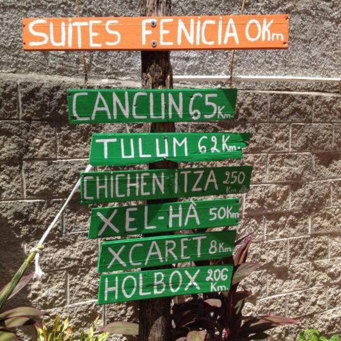 Suites Fenicia